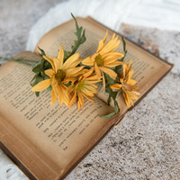 11" OLD GOLD DAISY PICK
