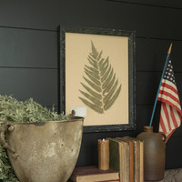 19.75" PRESSED FERN W/ BLACK FRAME