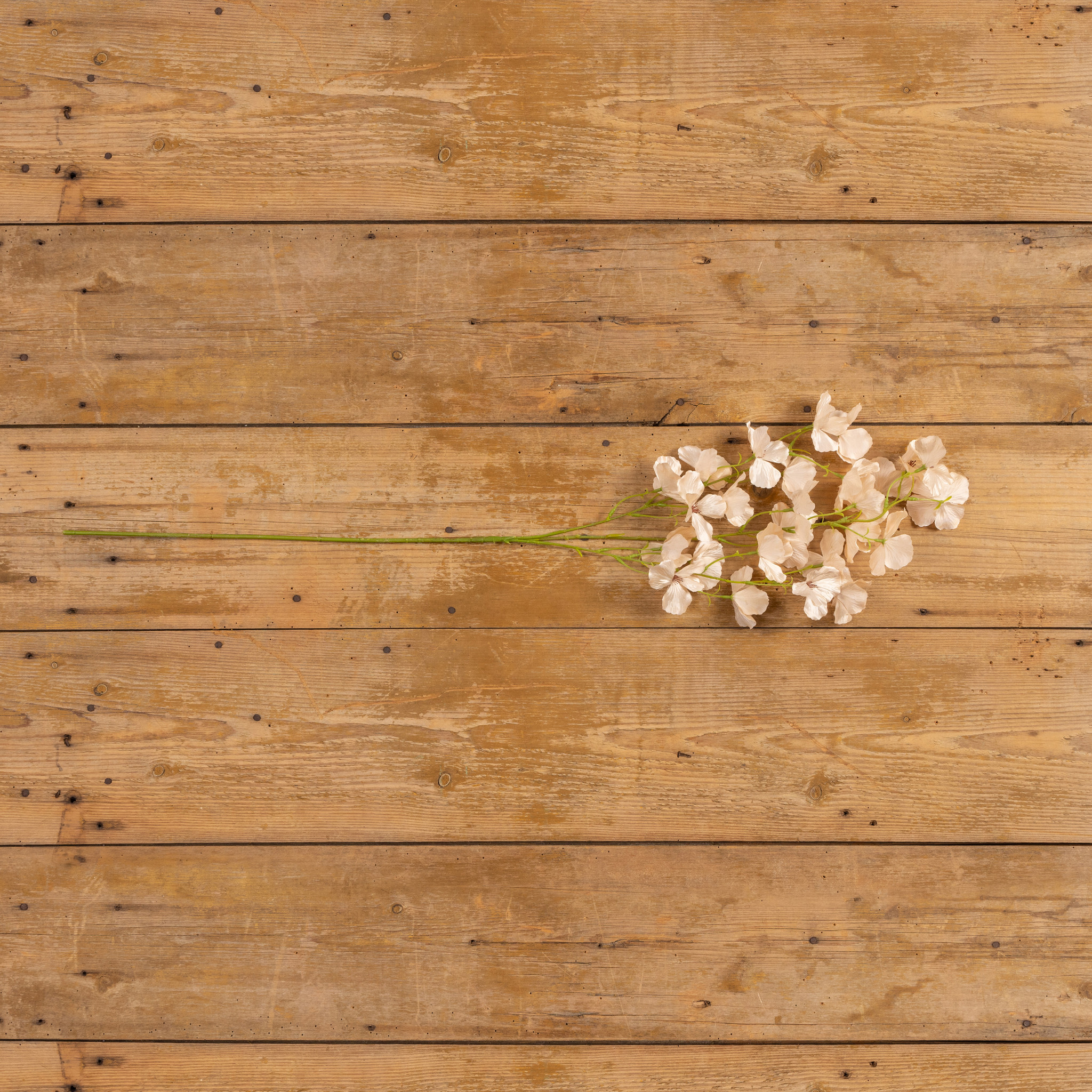 Pale Pink Apple Blossom Spray, 40", photo 3 of 5