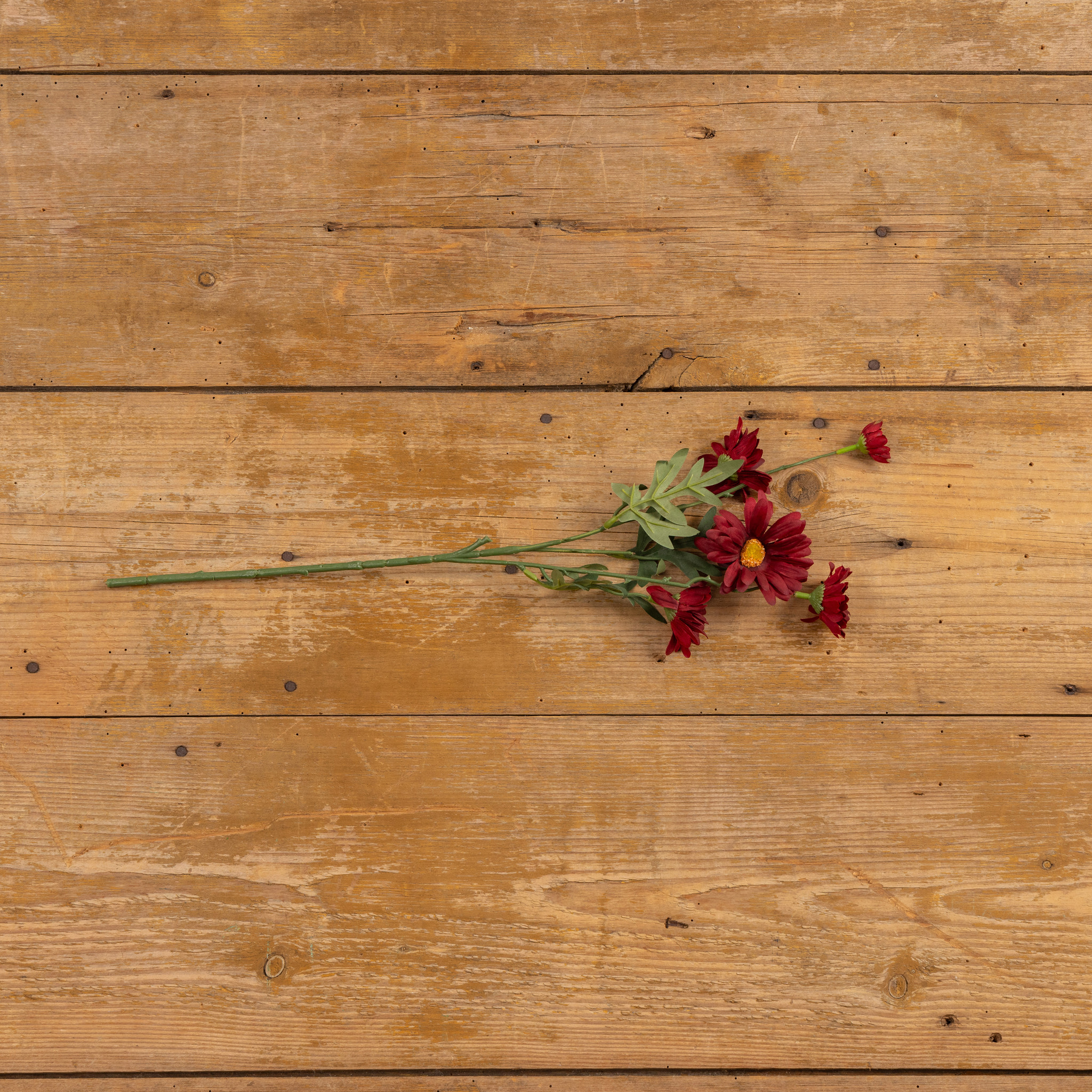 Burgundy Daisy Spray, 21", photo 3 of 6
