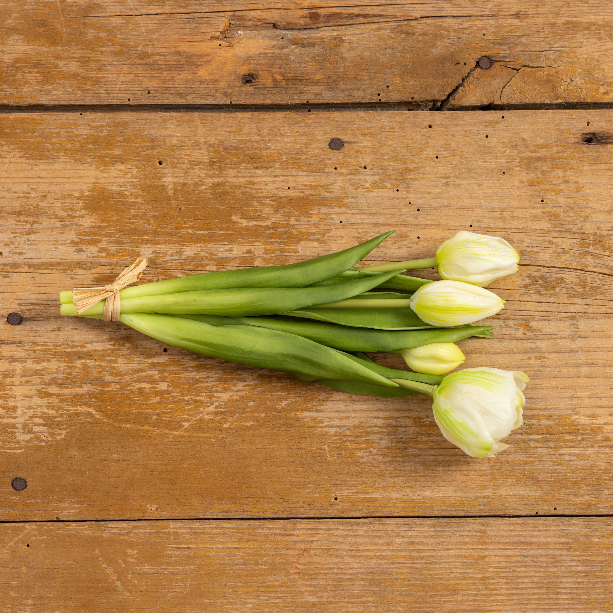 Green & White Tulip Bush, 9.5", photo 3 of 3