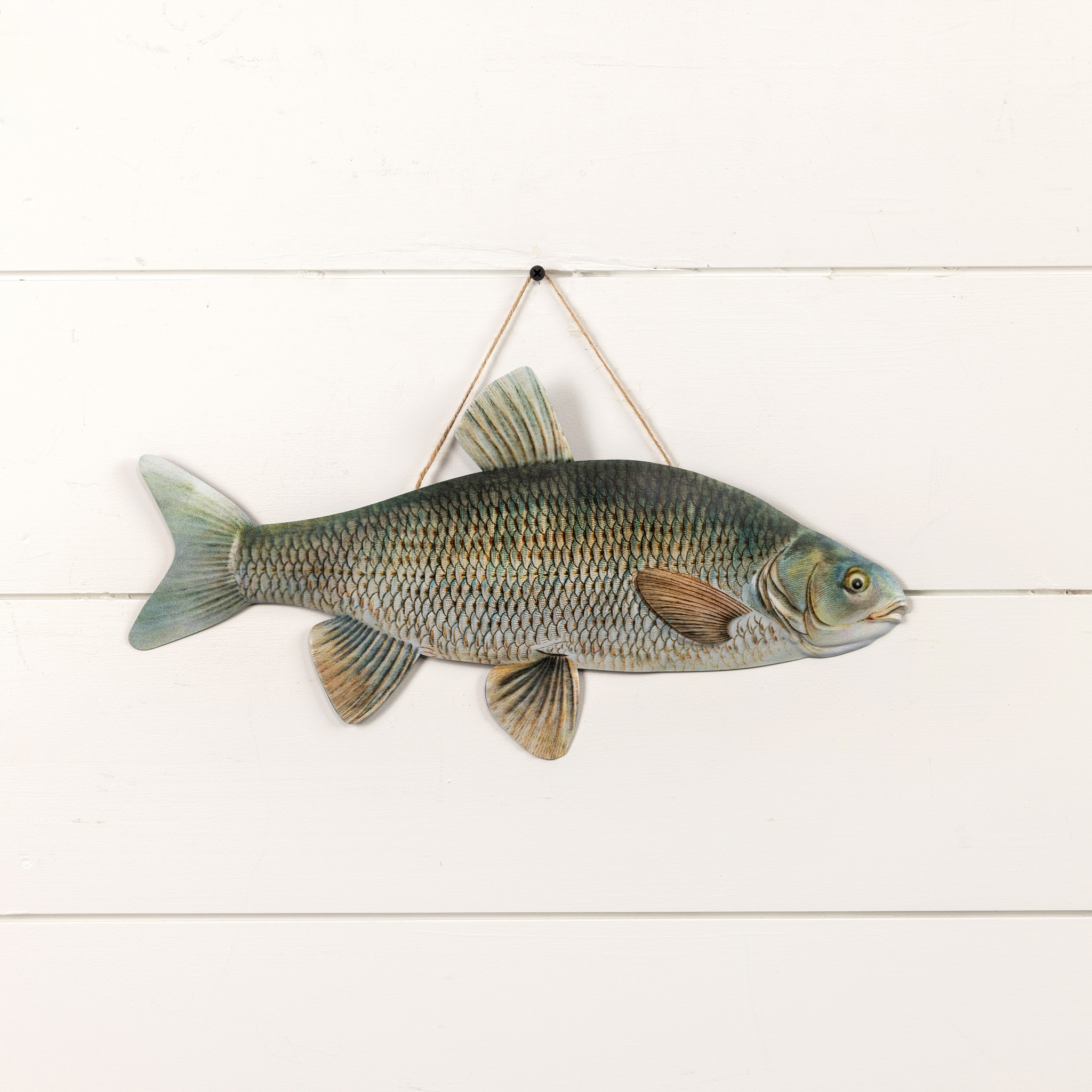 Chub Fish, 16", photo 2 of 2