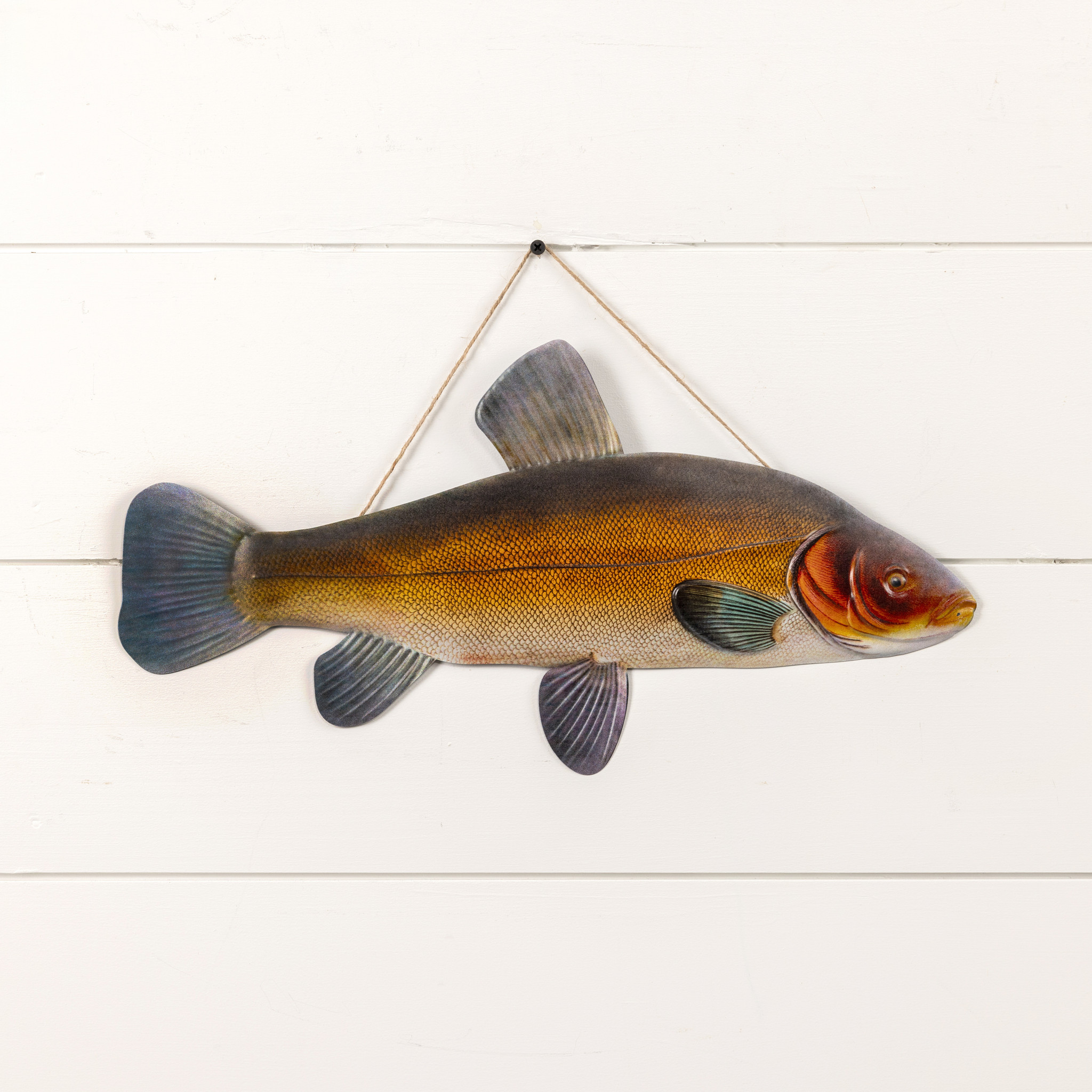Tench Fish, 18.25", photo 2 of 2