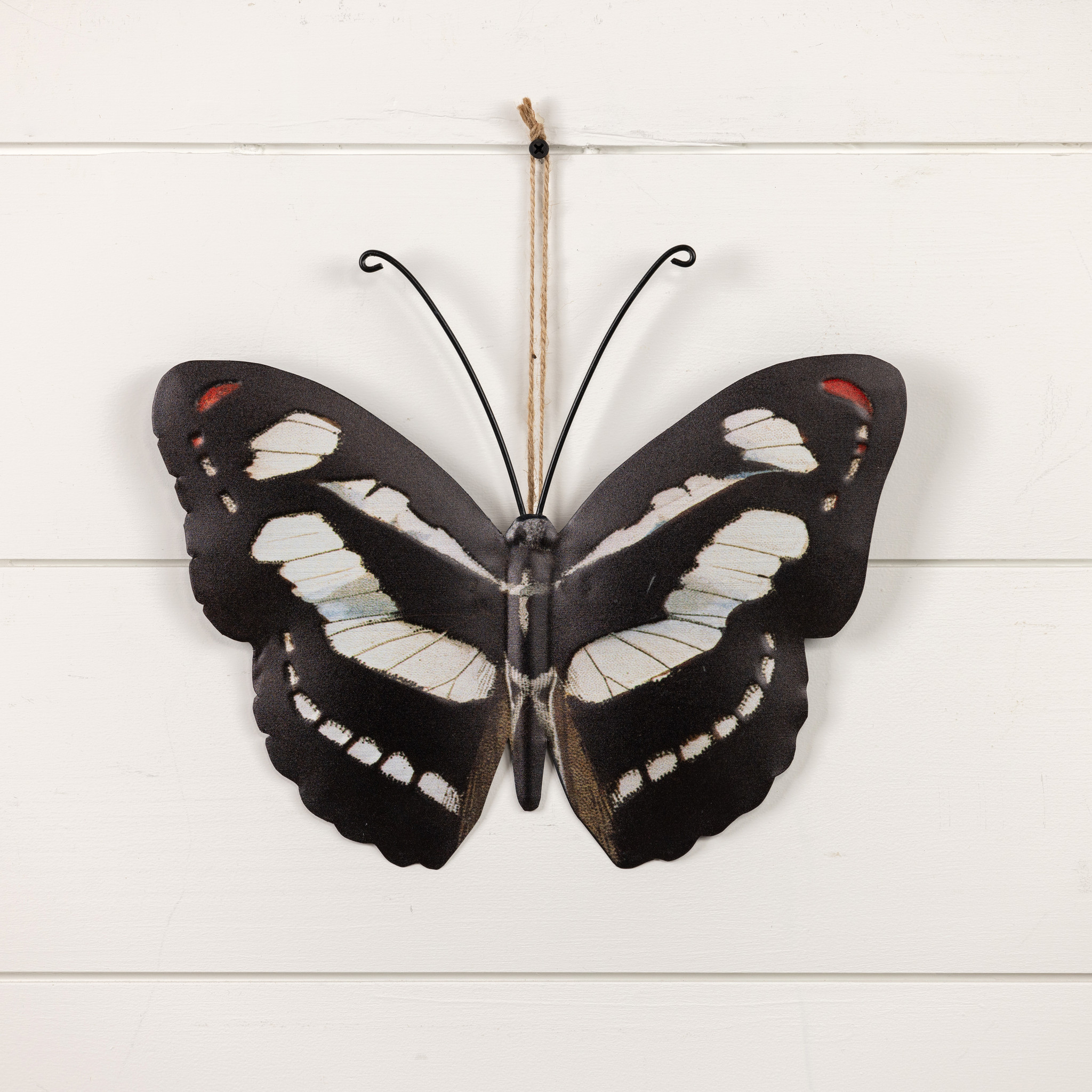 Black & White Butterfly, 12", photo 2 of 2