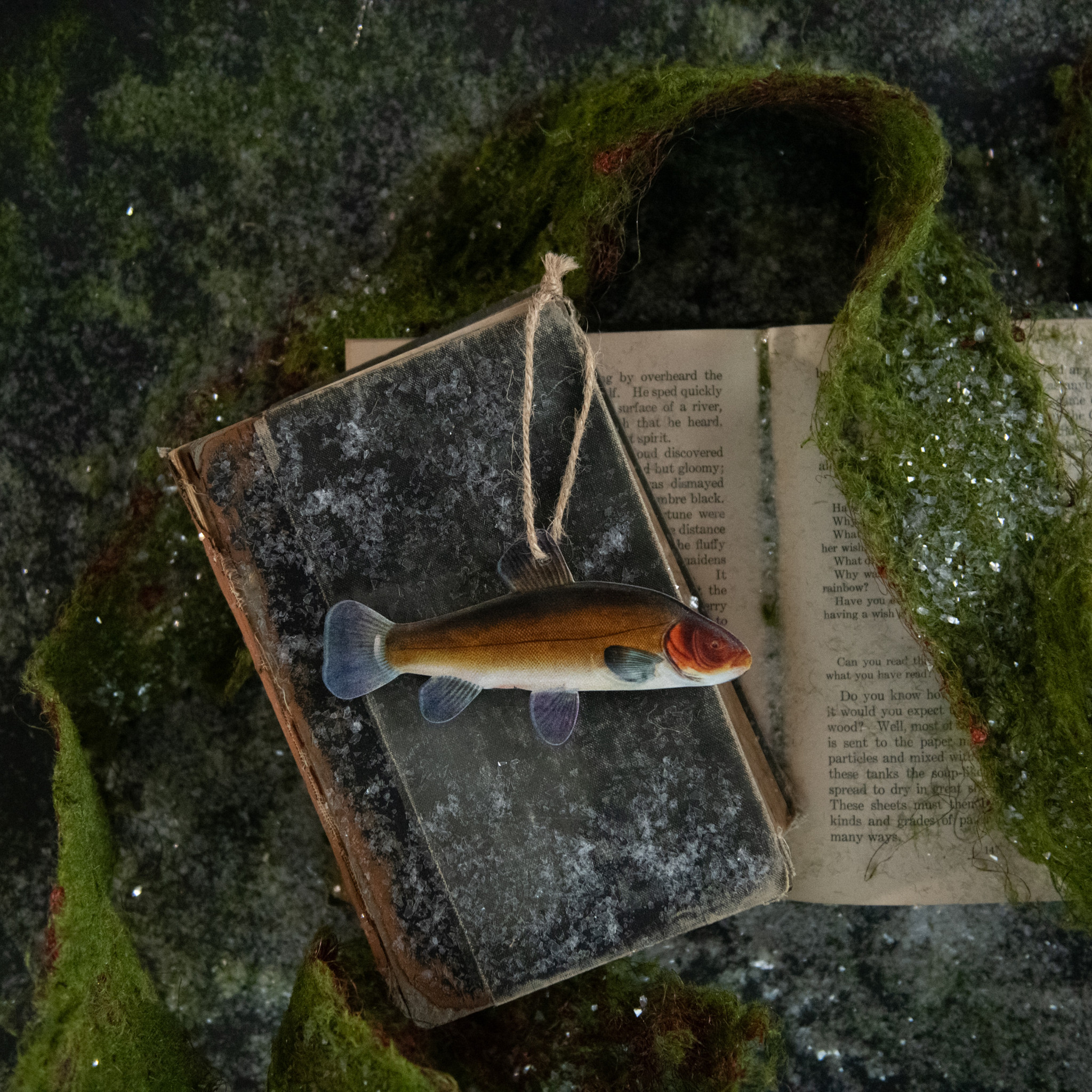 Tench Fish Ornament