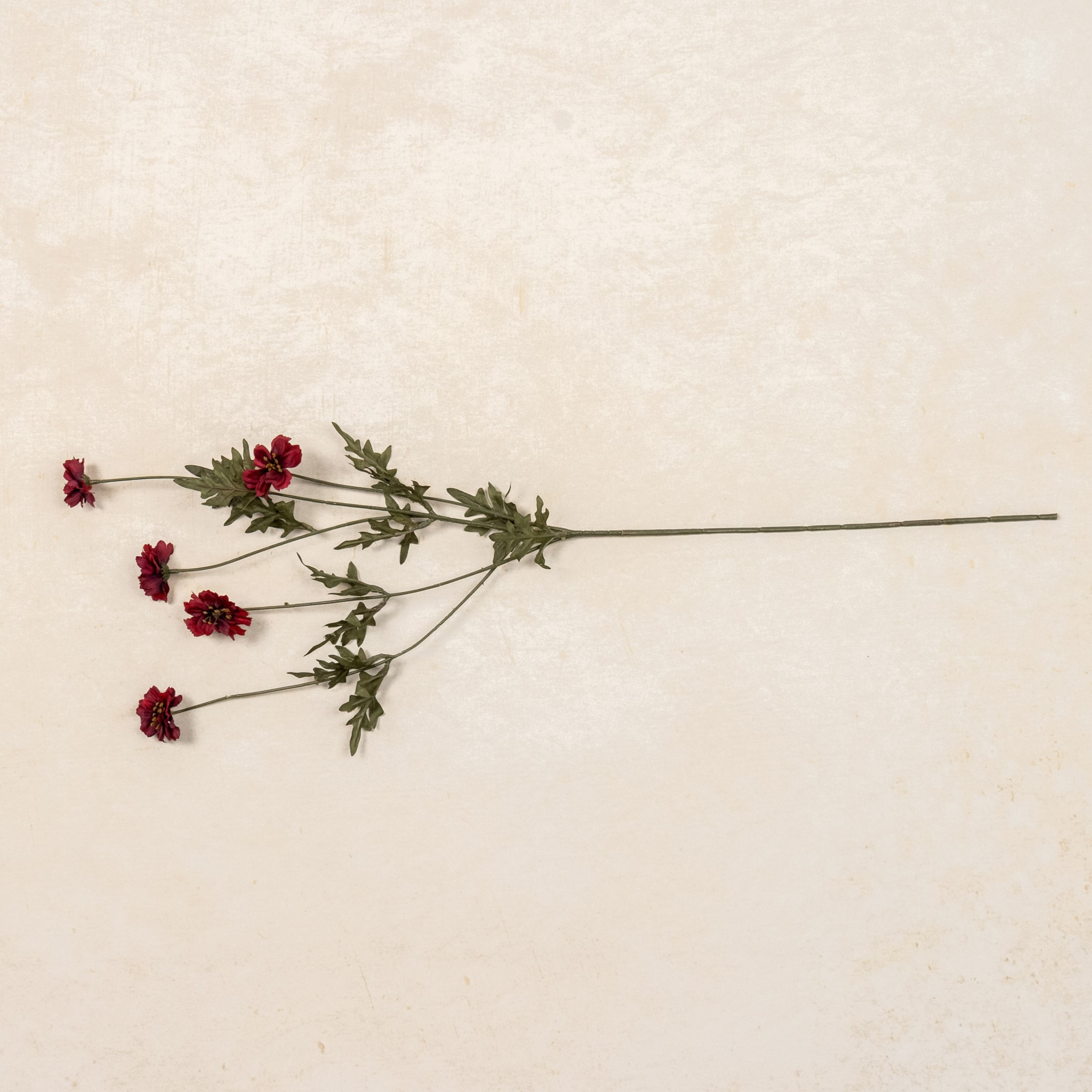 Burgundy Coreopsis Spray, 29.75", photo 5 of 5