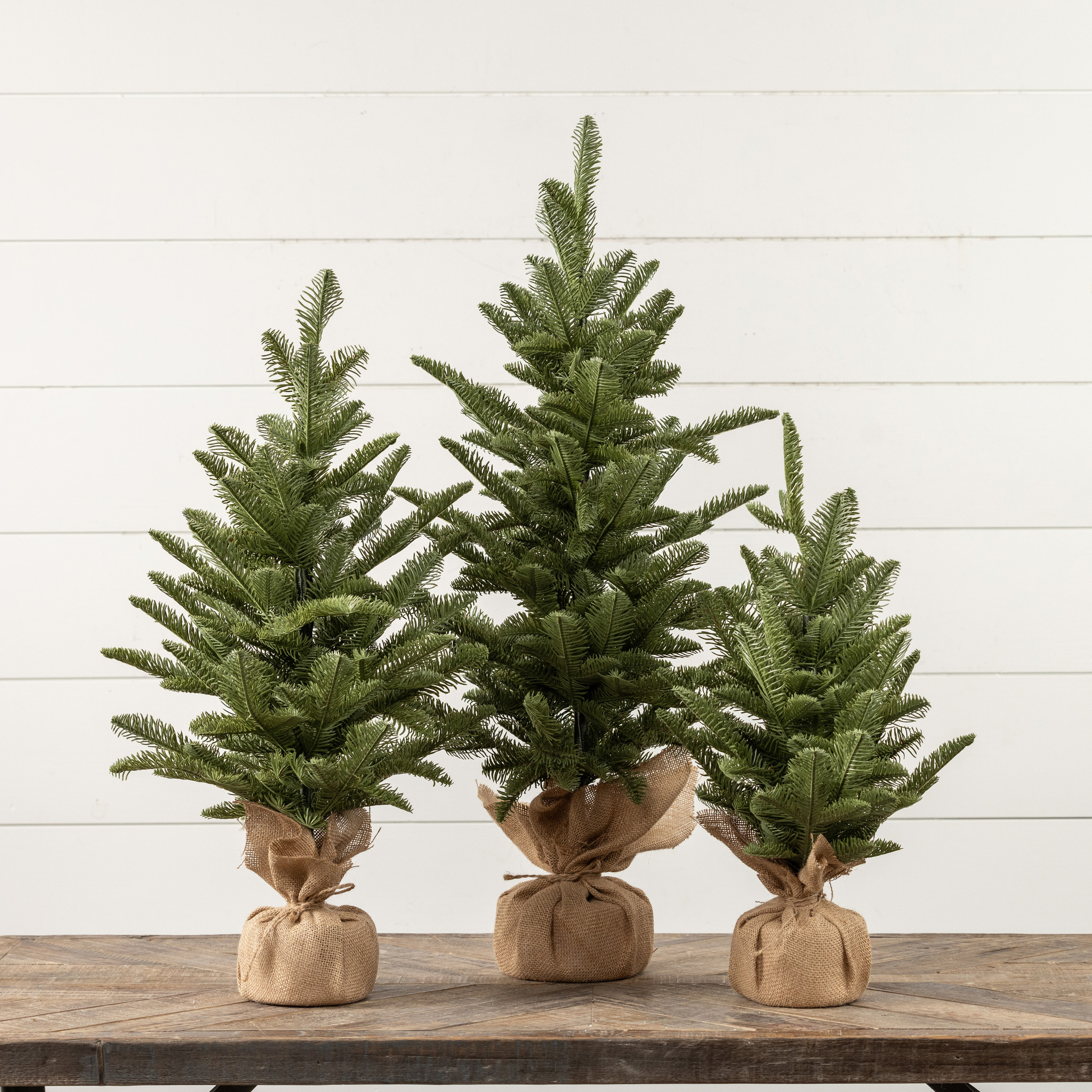 Pine Tree with Tied Burlap Base, 20", photo 3 of 3