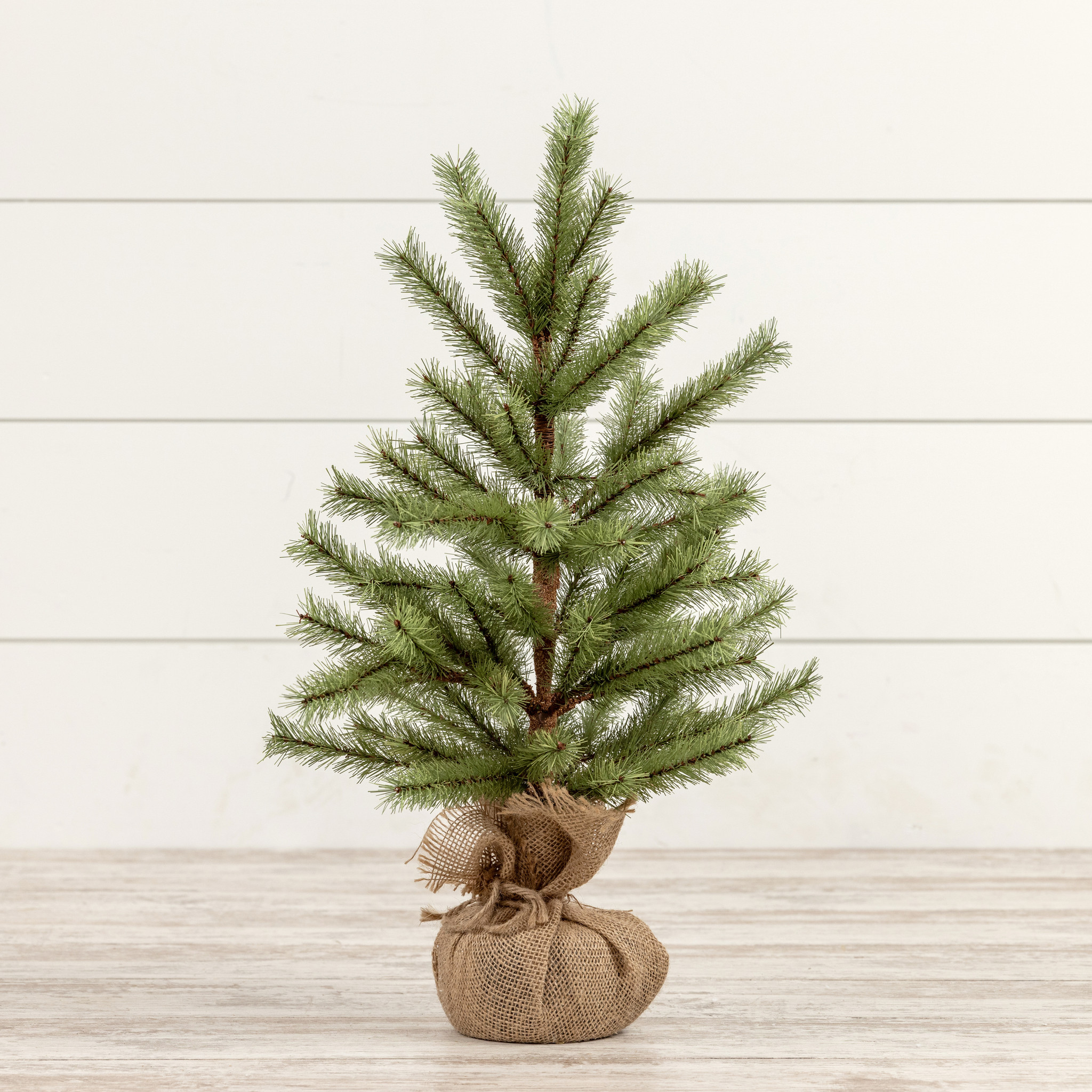Timberland Pine Tree, 24", photo 3 of 3