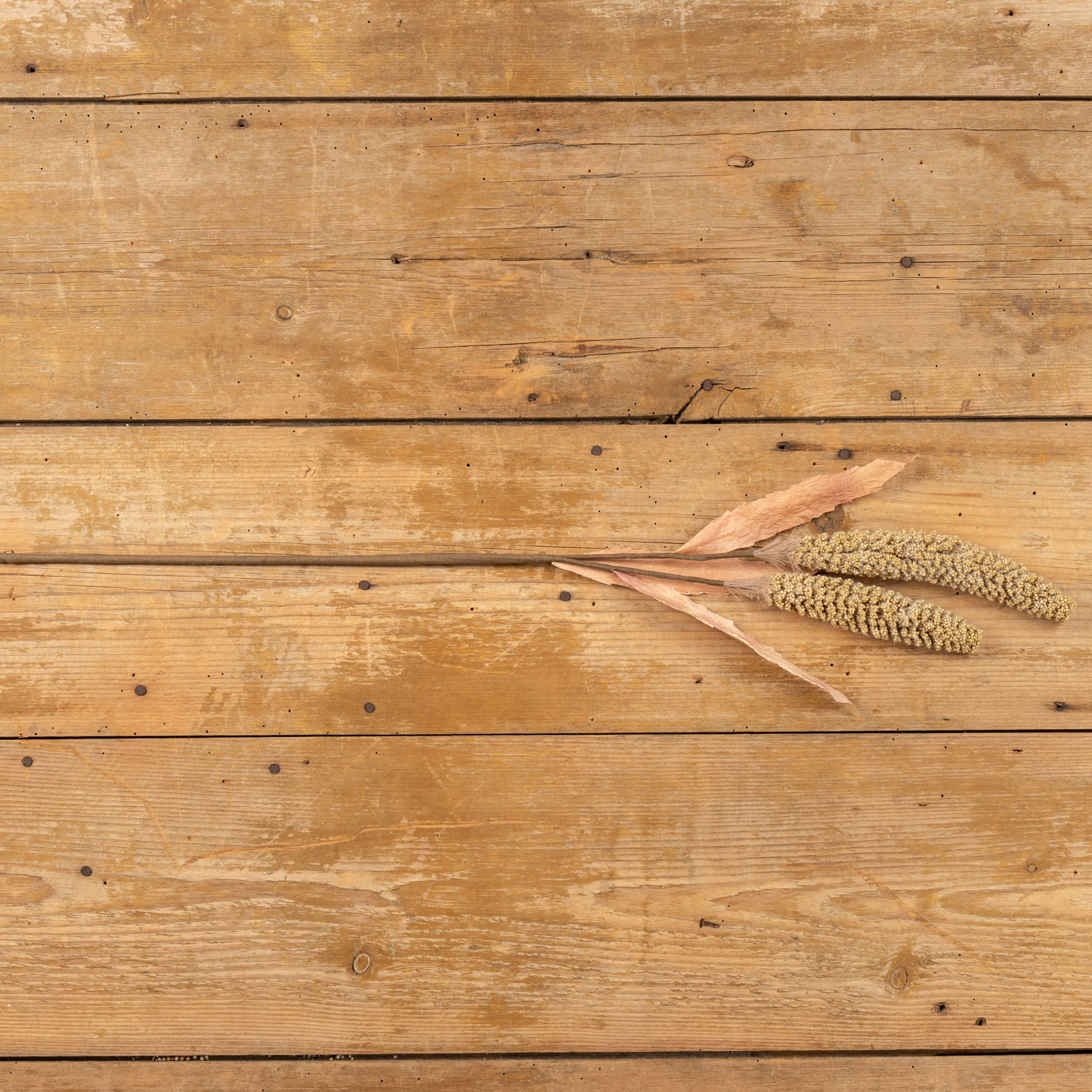 Tan Sorghum Spray, 31", photo 3 of 4