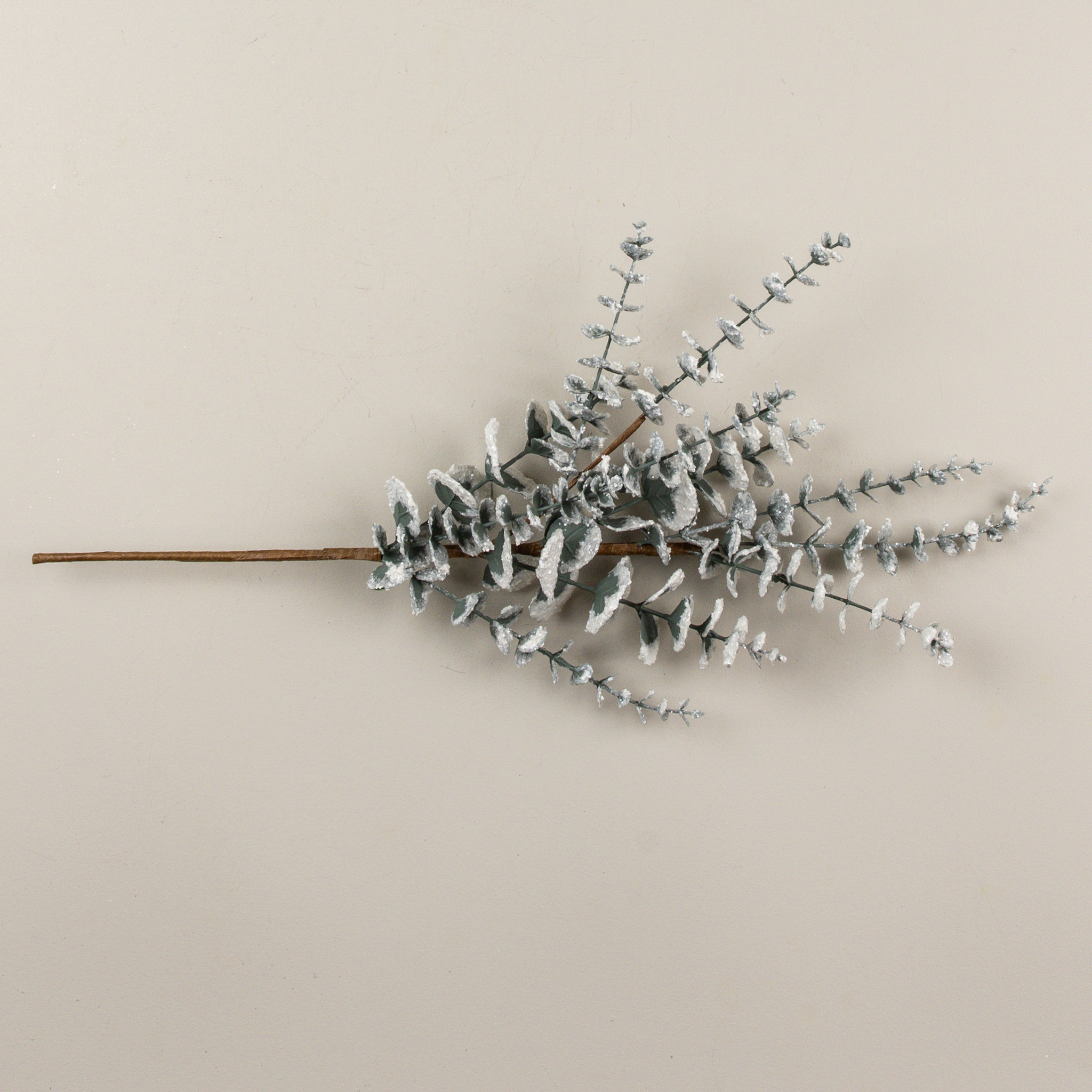 Snowy Eucalyptus Spray, 26", photo 4 of 4