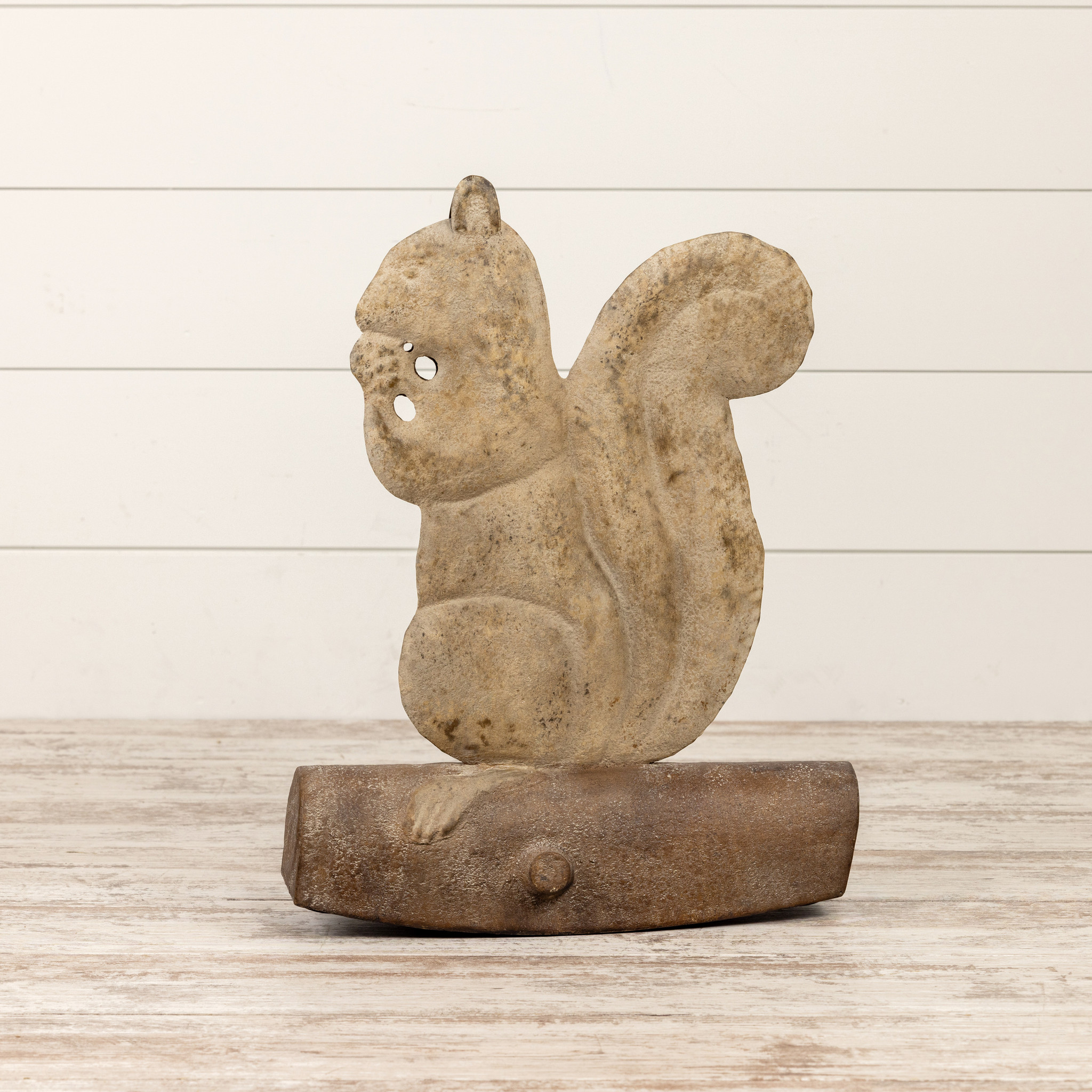 Squirrel on Log