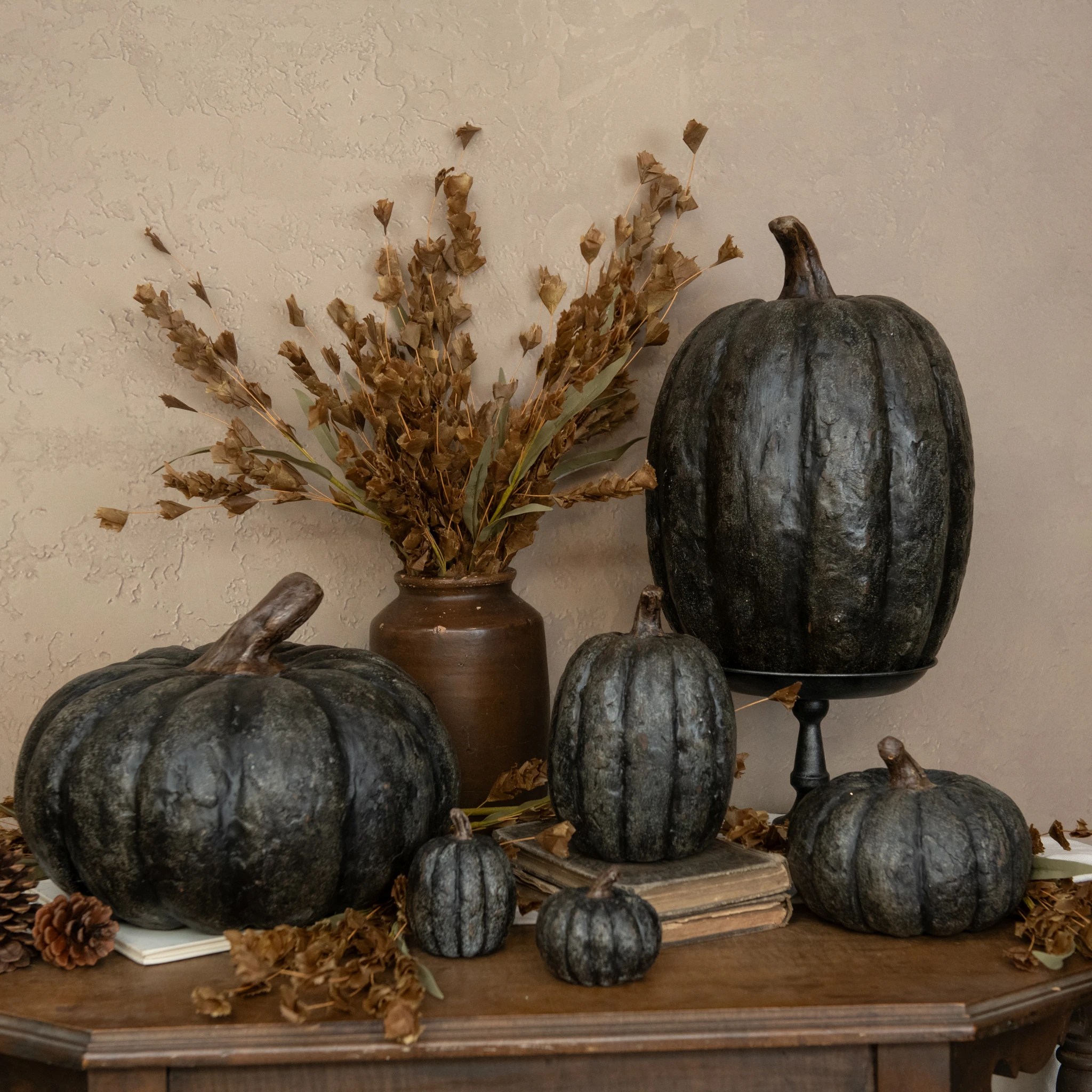 Black Short Pumpkin, 2.75", photo 3 of 3