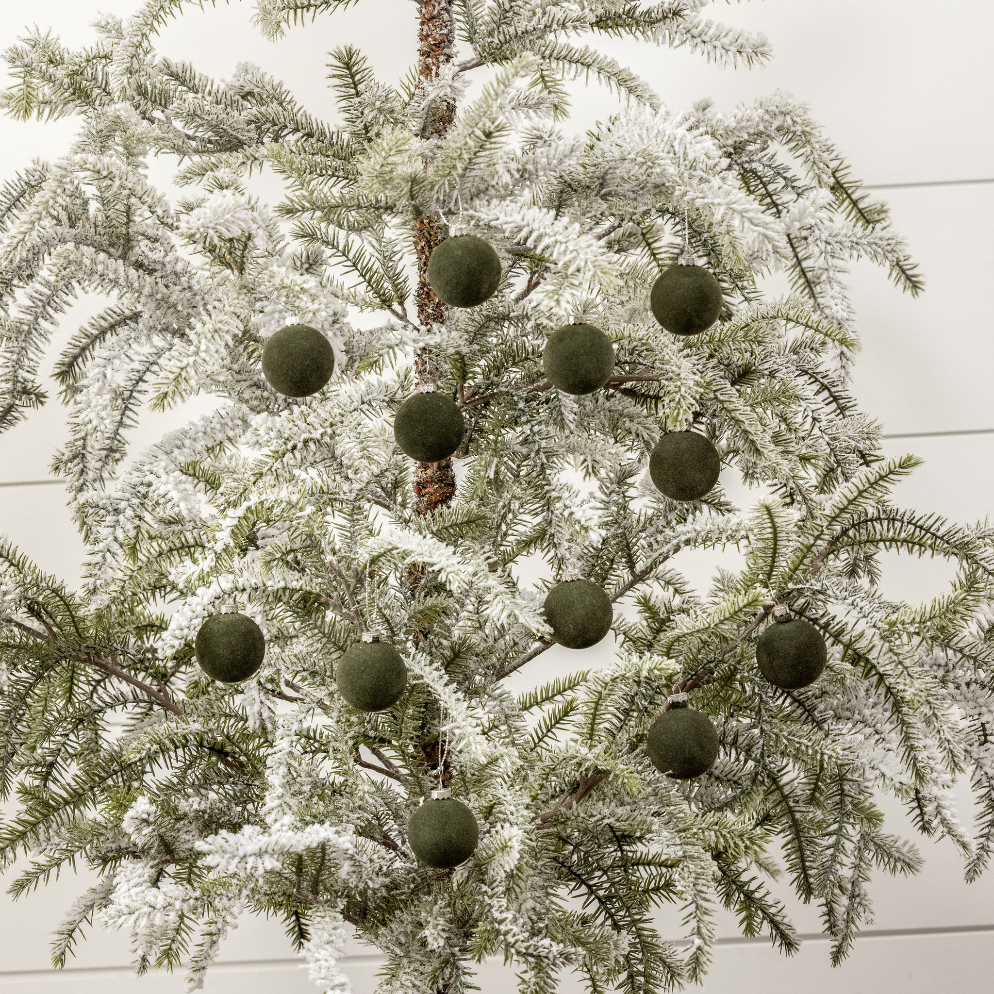 Forest Flocked Balls, Set of 12, 1.75", photo 3 of 3