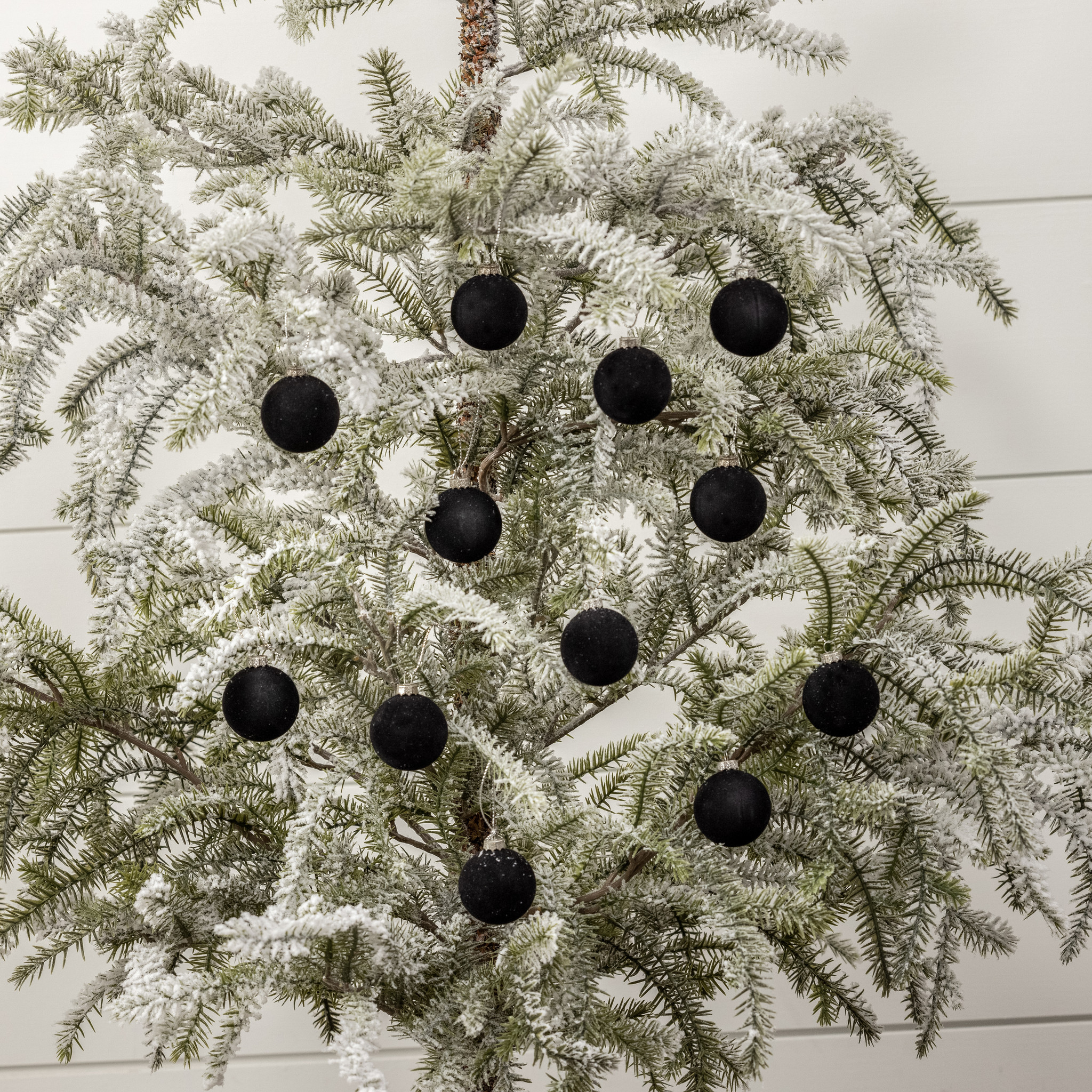 Black Flocked Balls, Set of 12, 1.75", photo 4 of 4