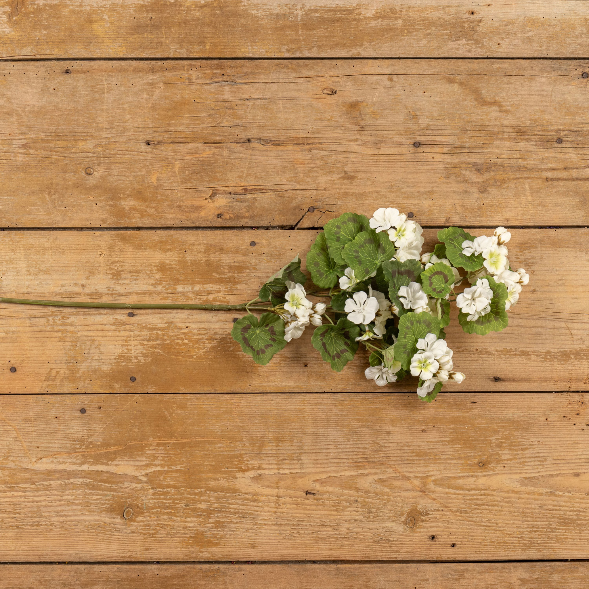 White Geranium Spray, 30", photo 3 of 5