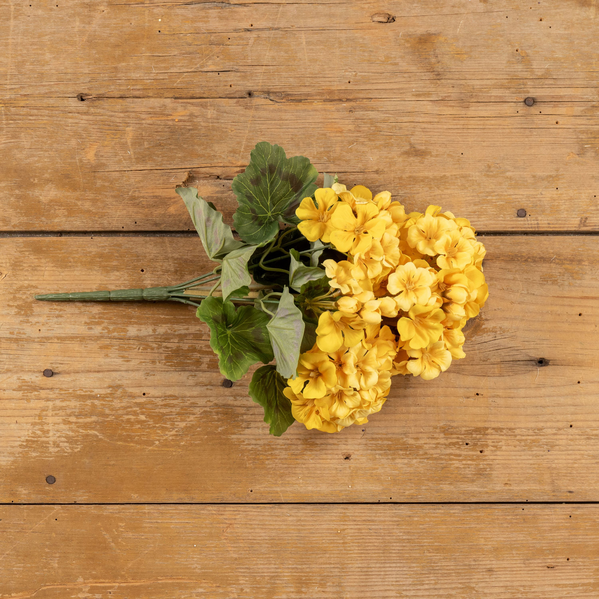 Yellow Geranium Bush, 14.5", photo 3 of 4