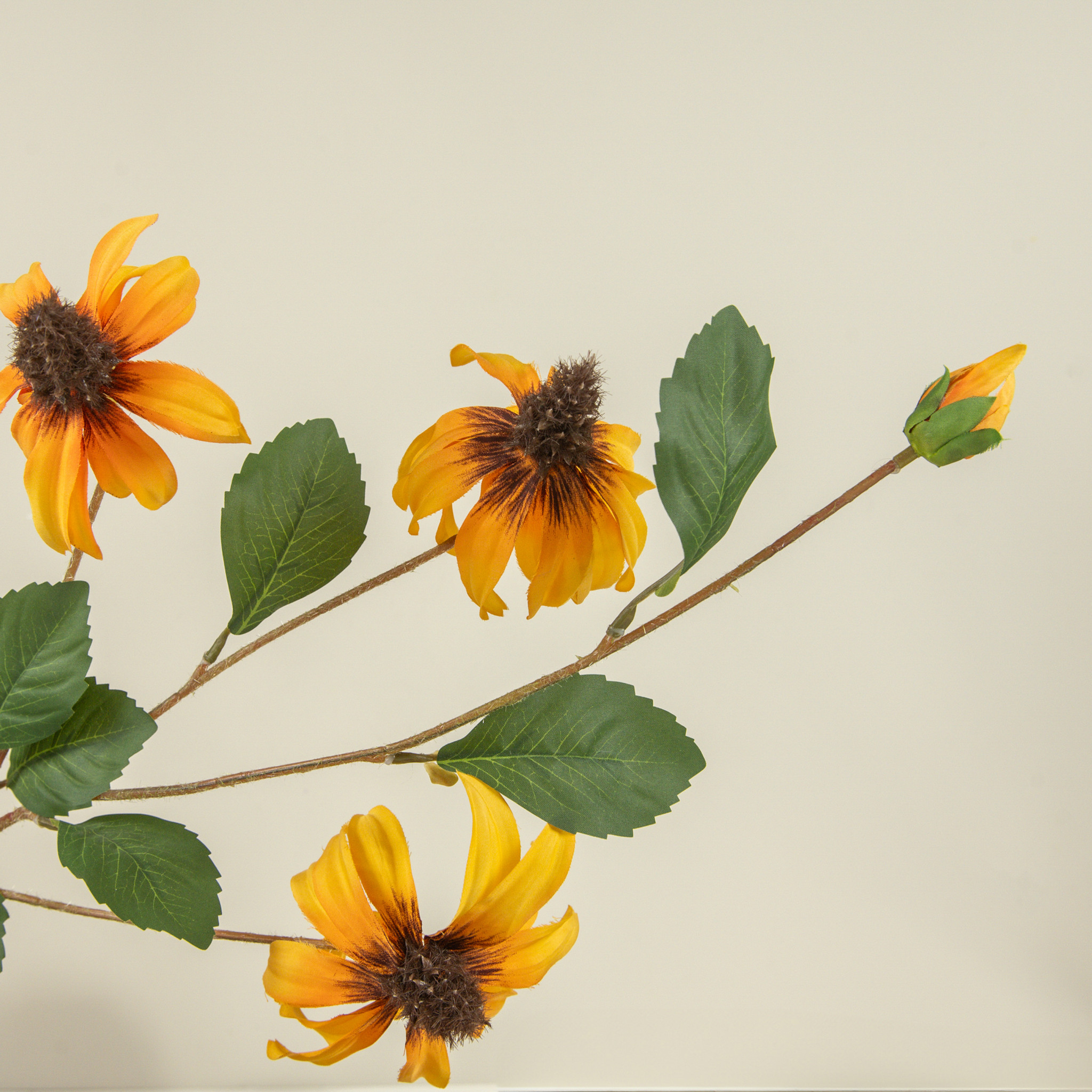 Orange Black-Eyed Susan Spray, 33", photo 3 of 5