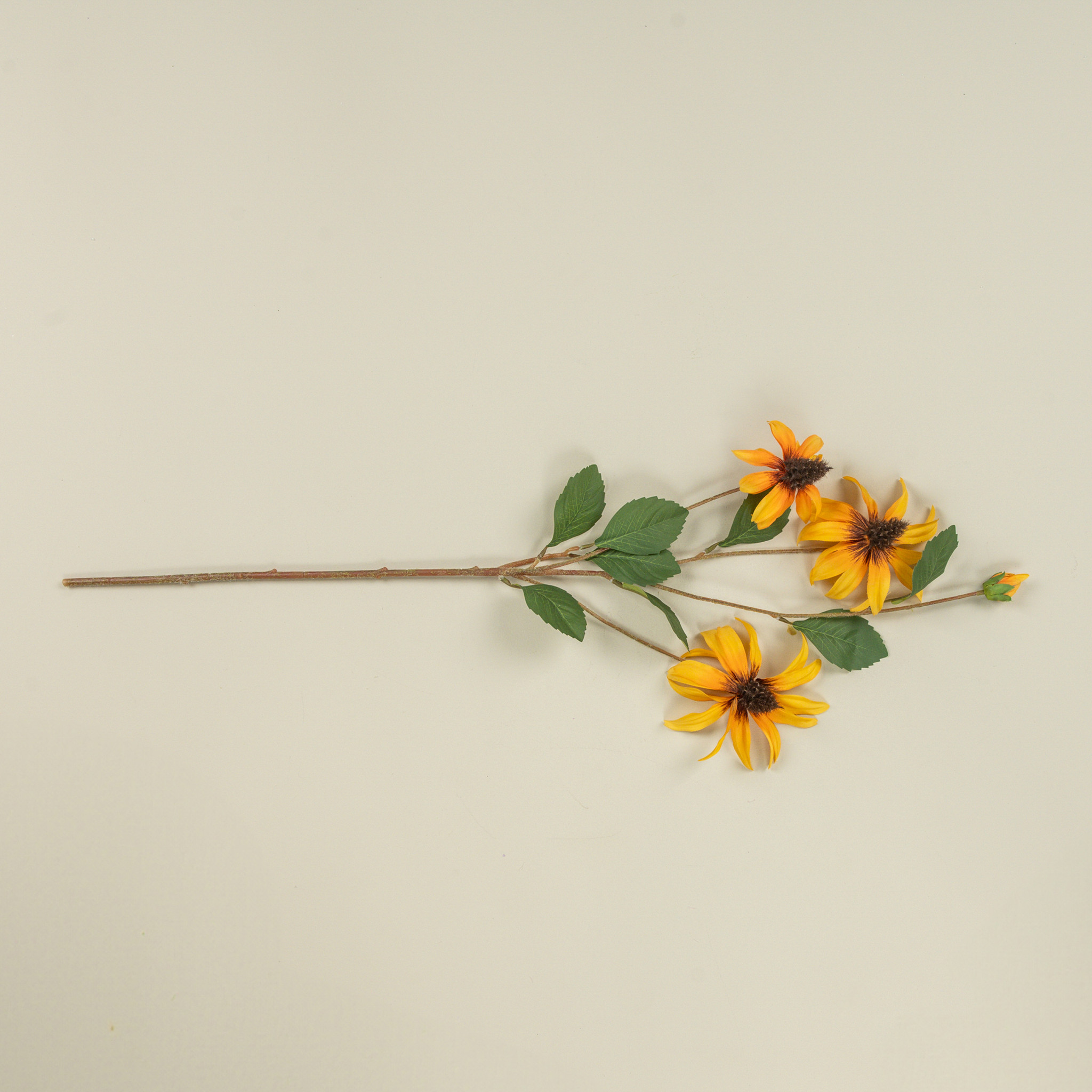 Orange Black-Eyed Susan Spray, 33", photo 2 of 5