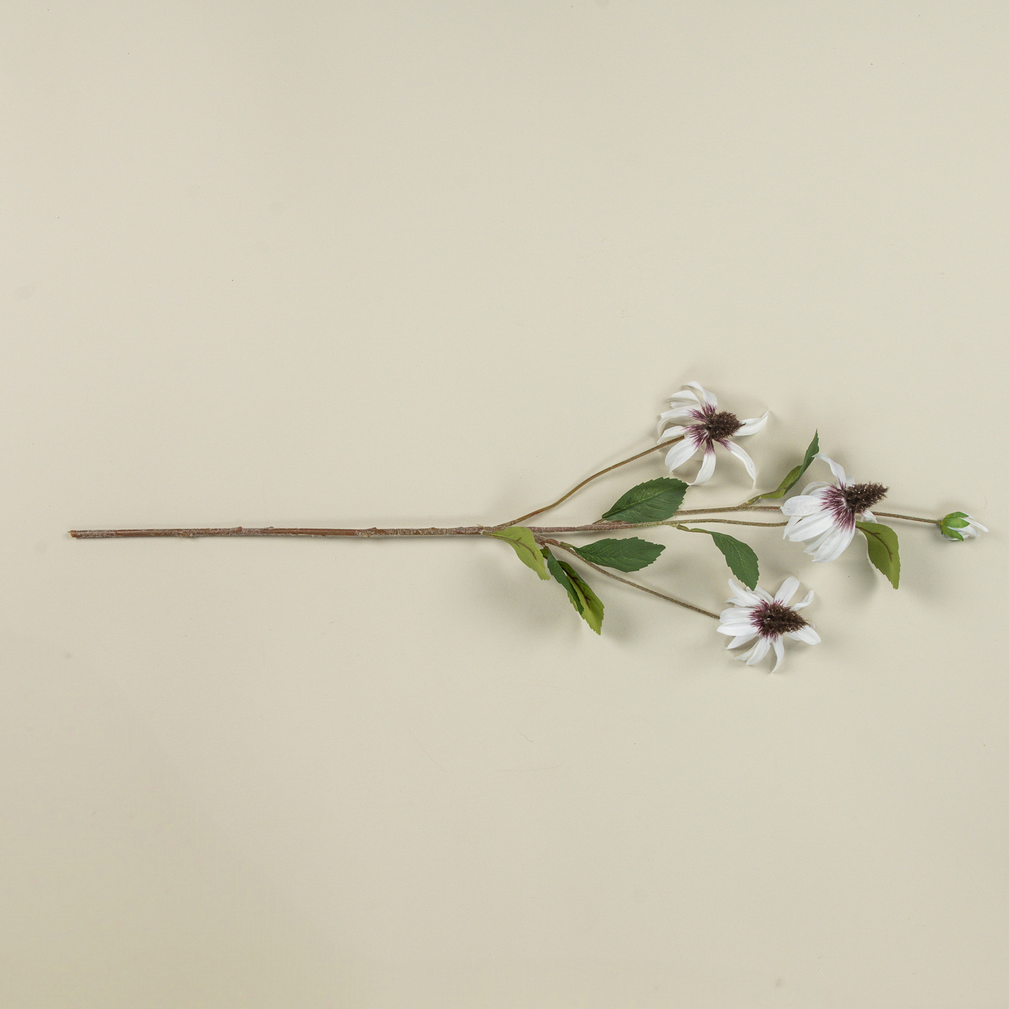 White Black-Eyed Susan Spray, 33", photo 2 of 5