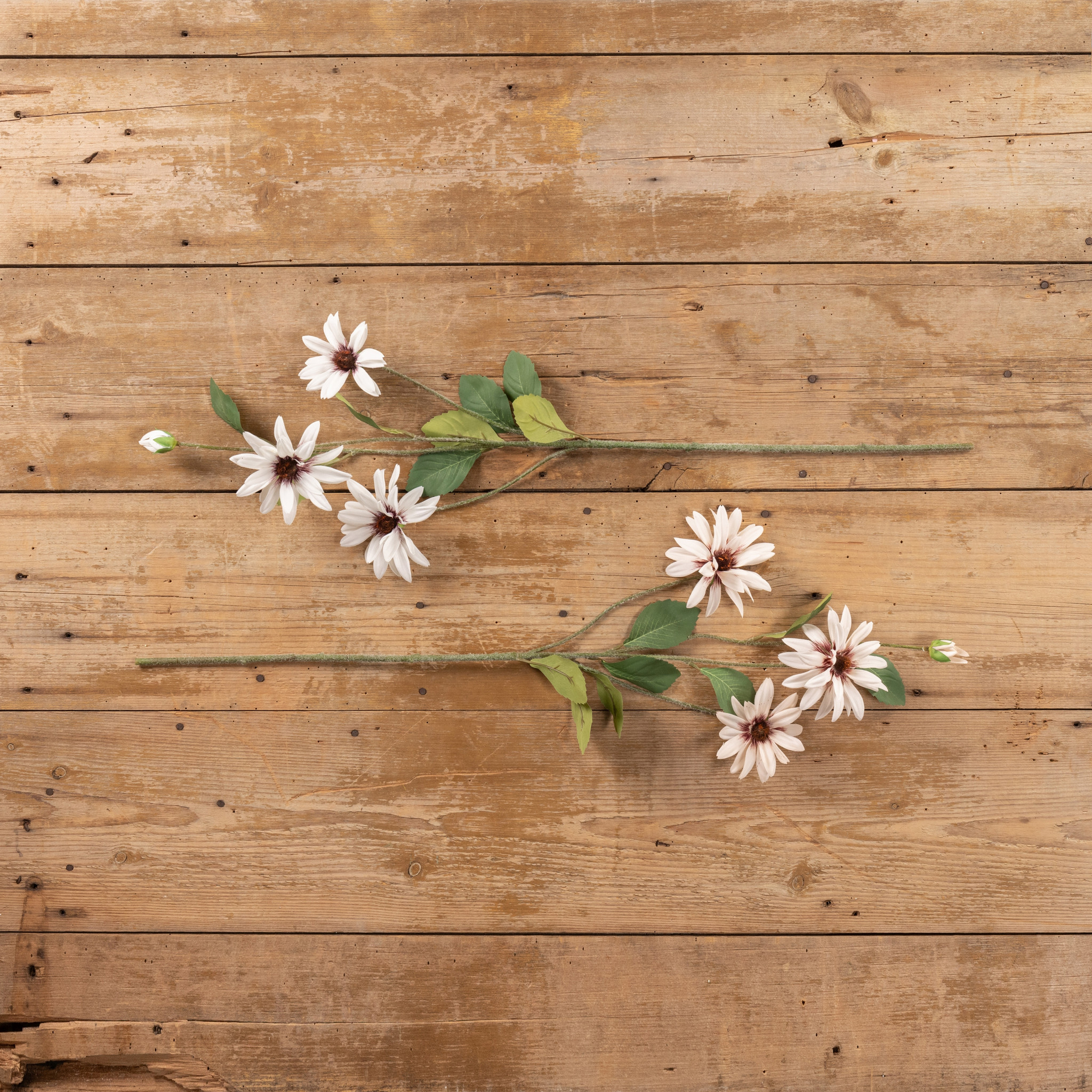 White Daisy Spray, 33", photo 5 of 5