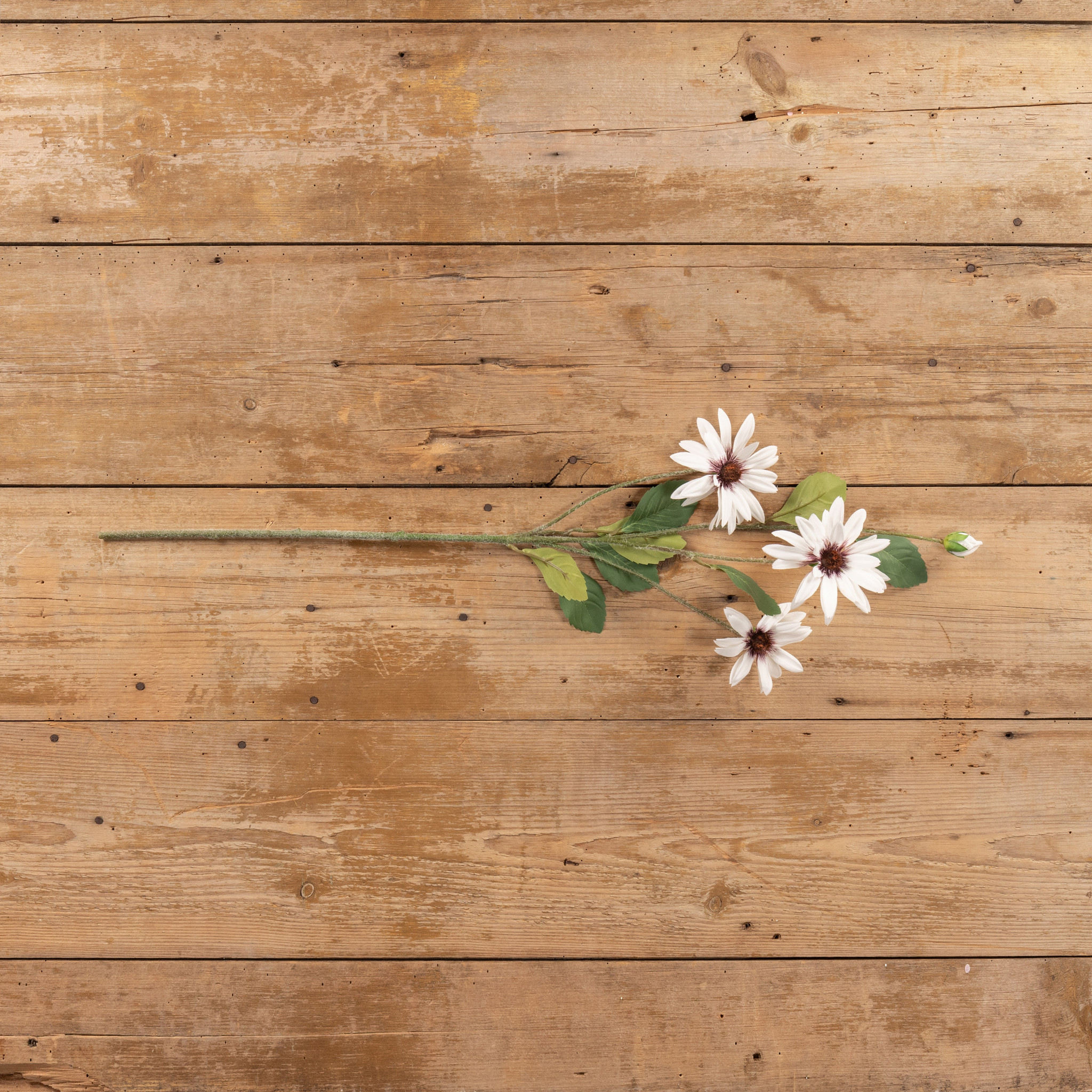 White Daisy Spray, 33", photo 3 of 5