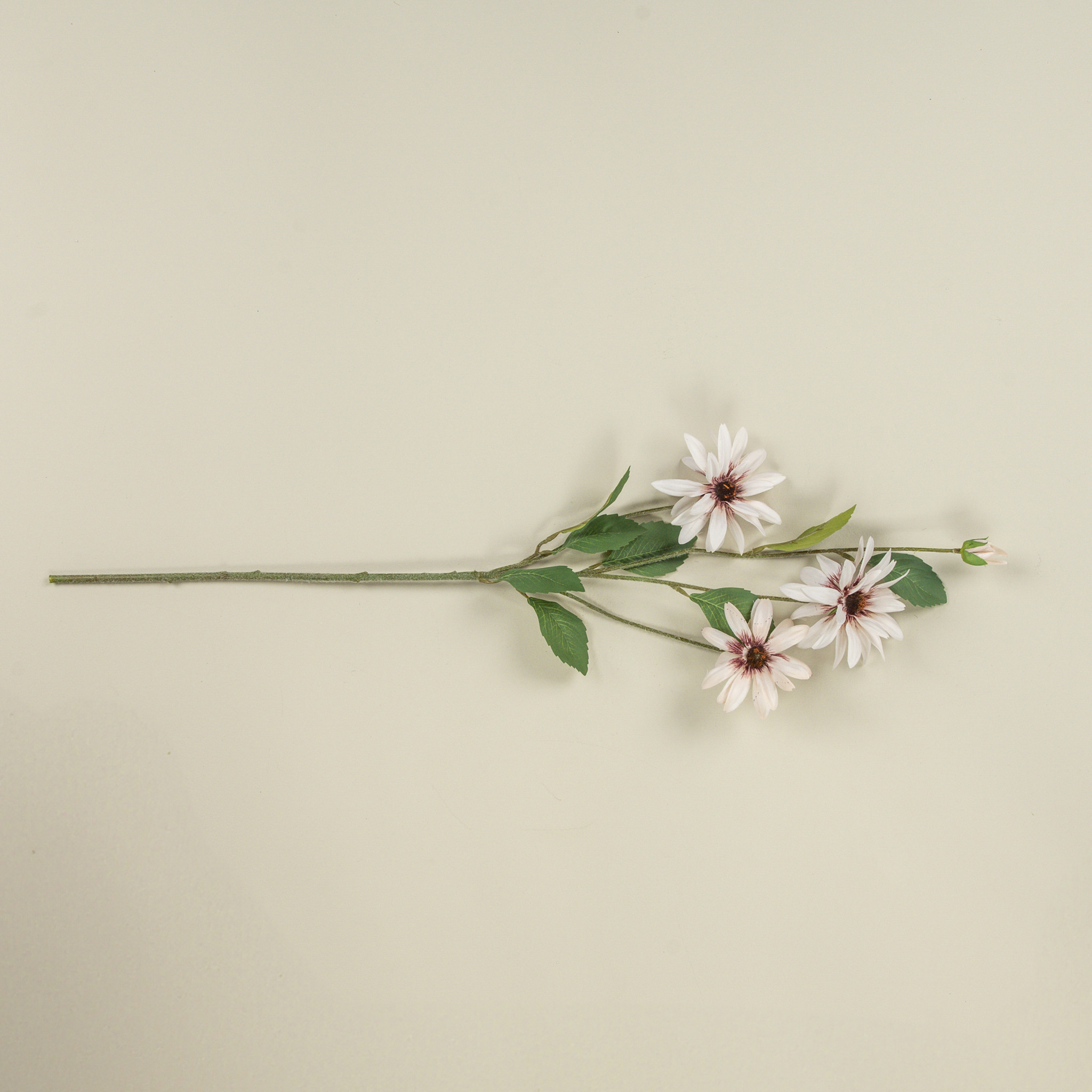 Light Pink Daisy Spray, 33", photo 2 of 5