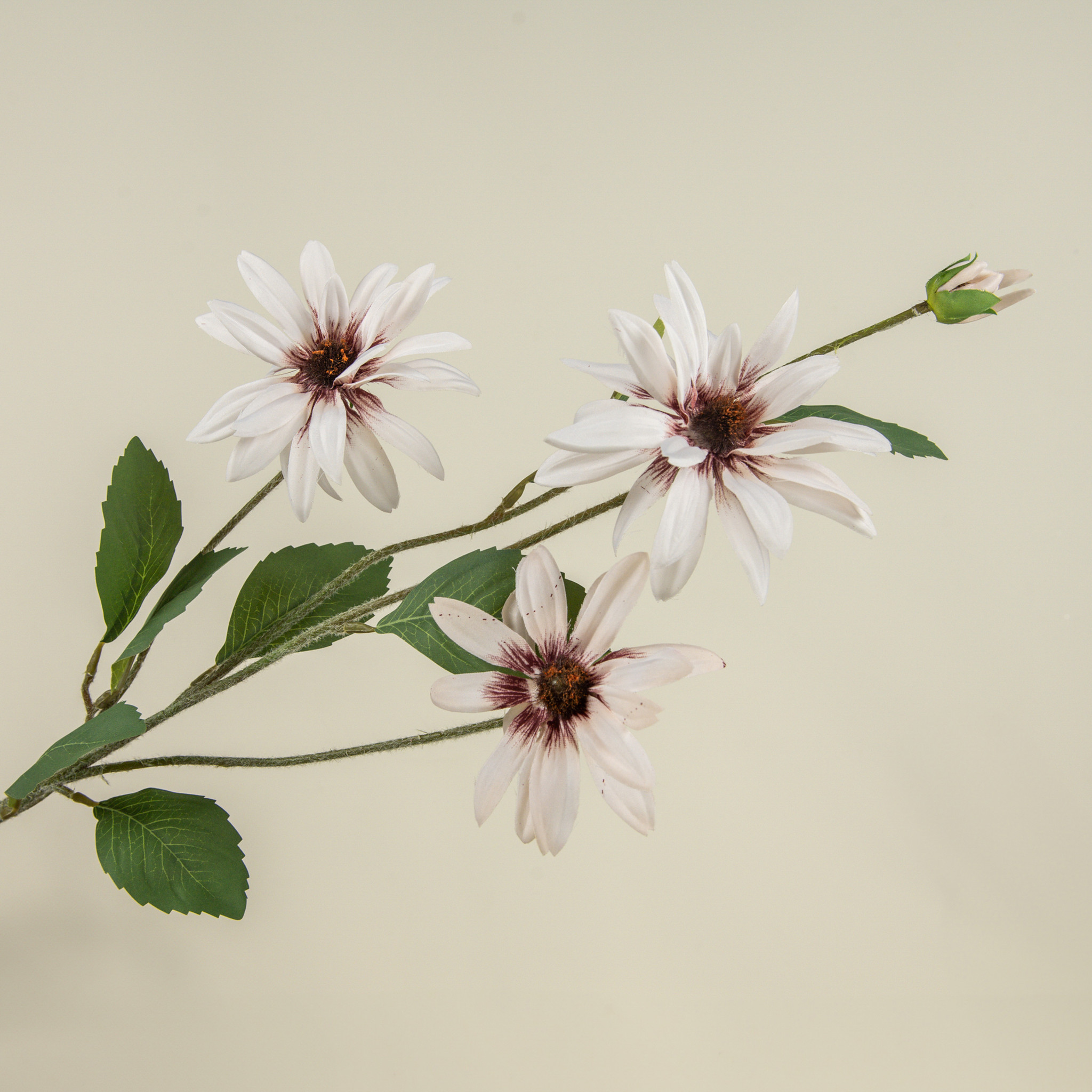 Light Pink Daisy Spray, 33", photo 3 of 5