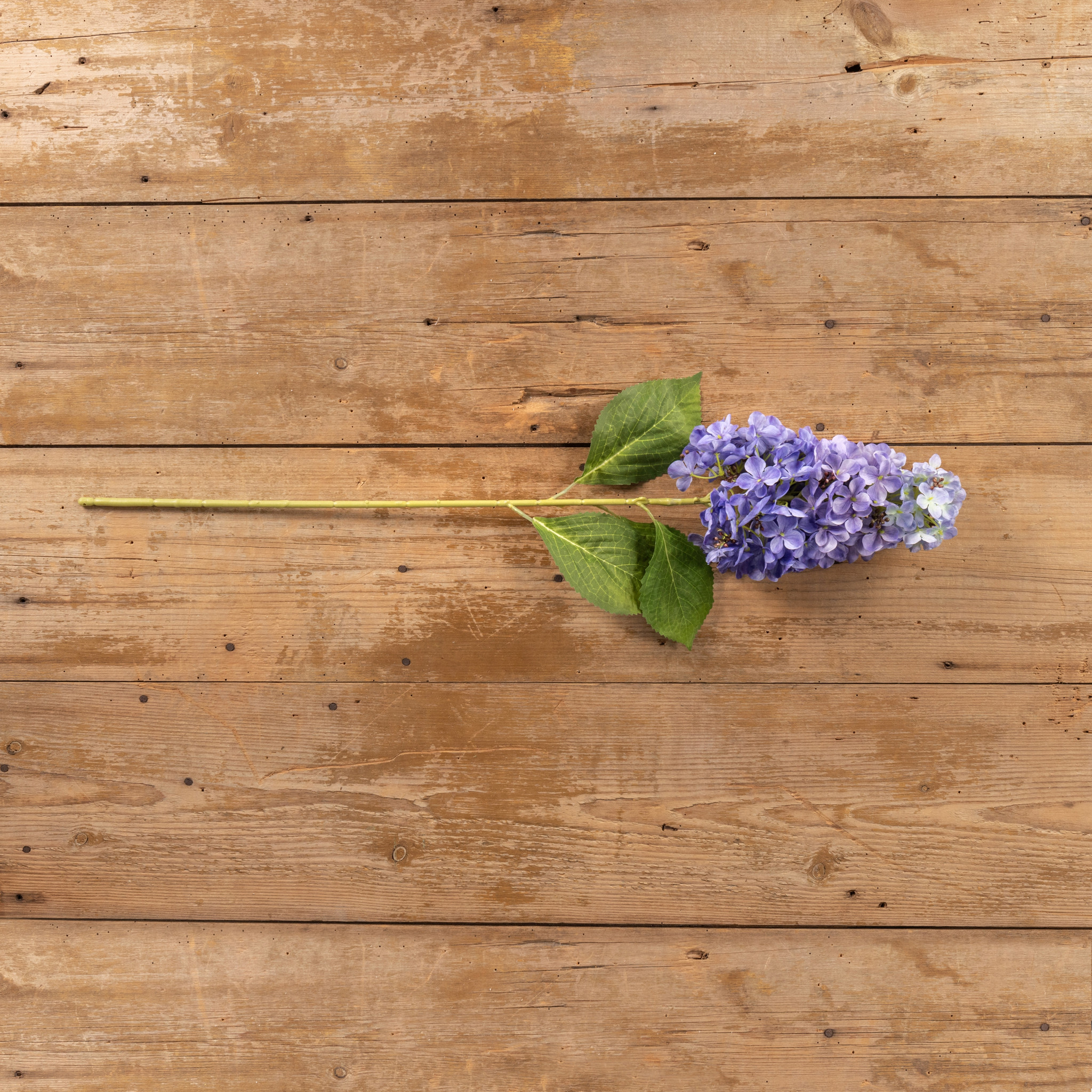 Purple Cone Hydrangea Stem, 32", photo 3 of 5
