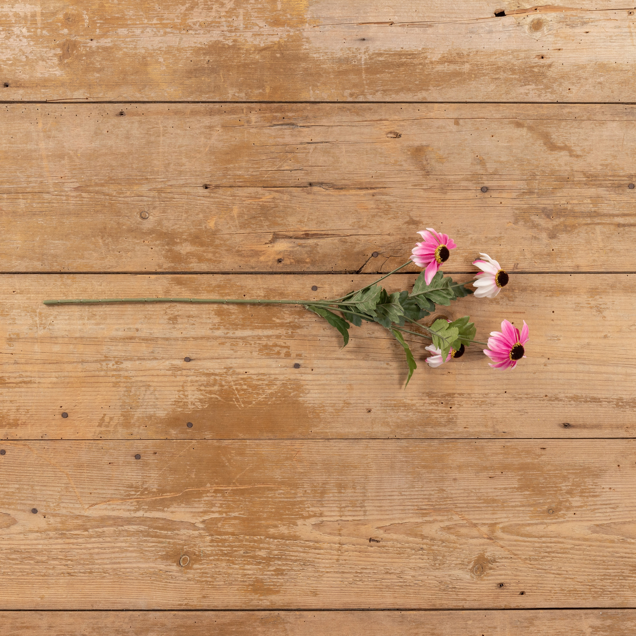 Pink & Cream Black-Eyed Susan Spray, 25.5", photo 3 of 5
