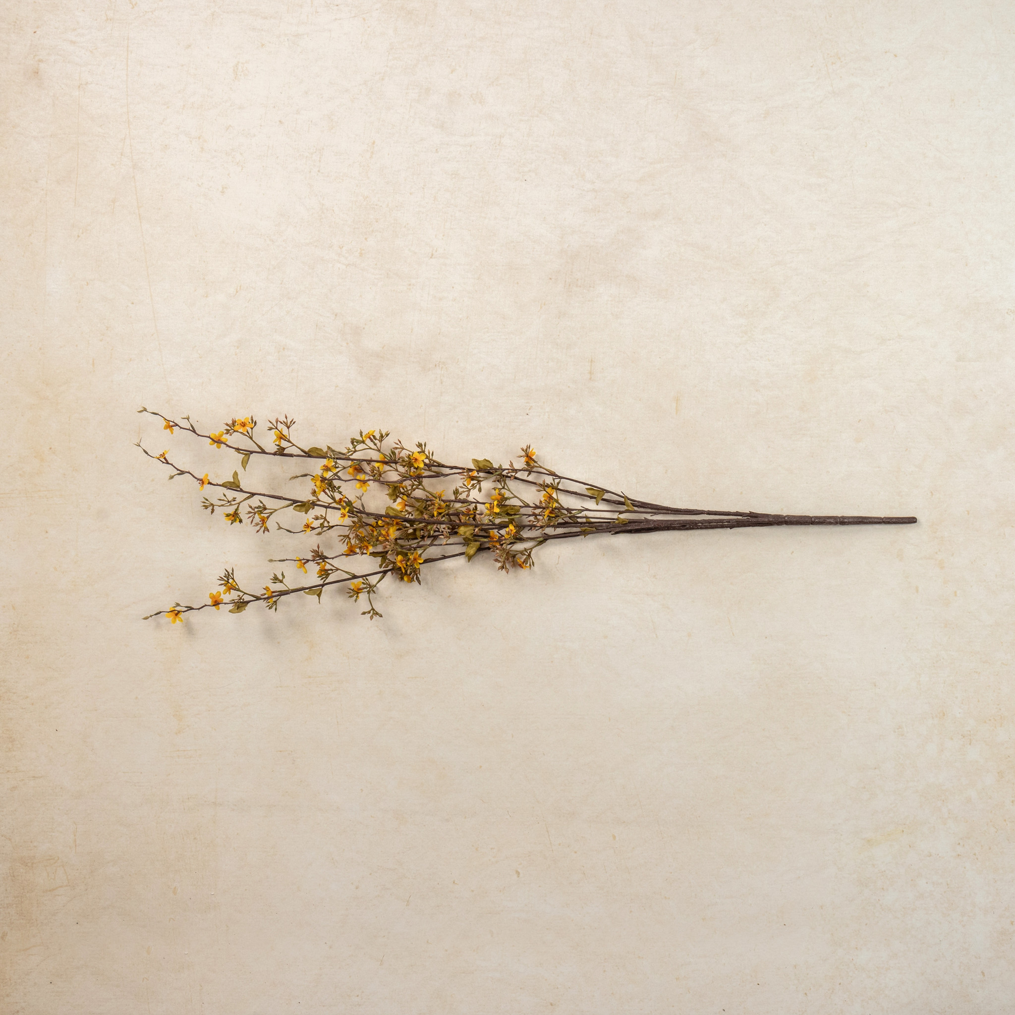 Yellow Seeded Wax Flower Spray, 36"