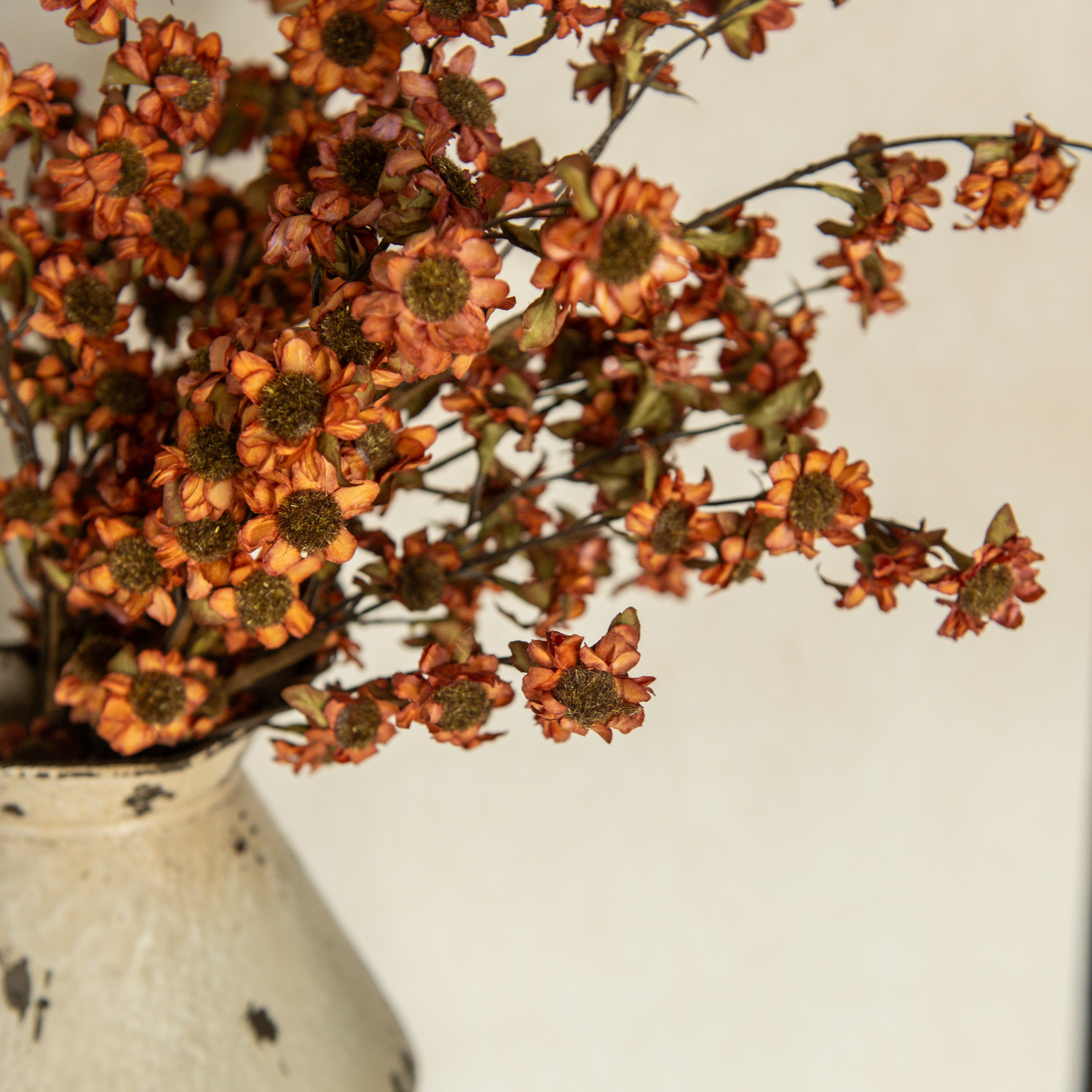 Rust Mini Daisy Bush, 22", photo 2 of 4