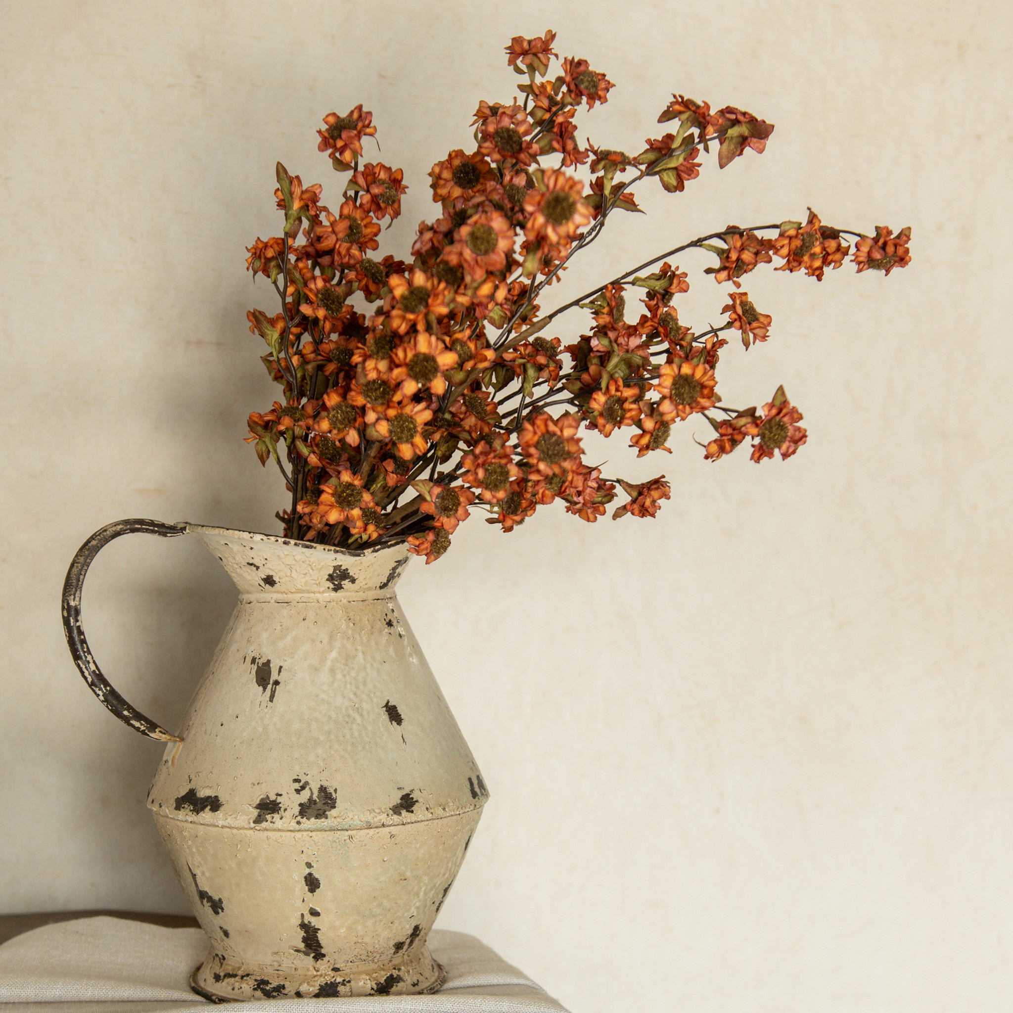 Rust Mini Daisy Bush, 22", photo 4 of 4