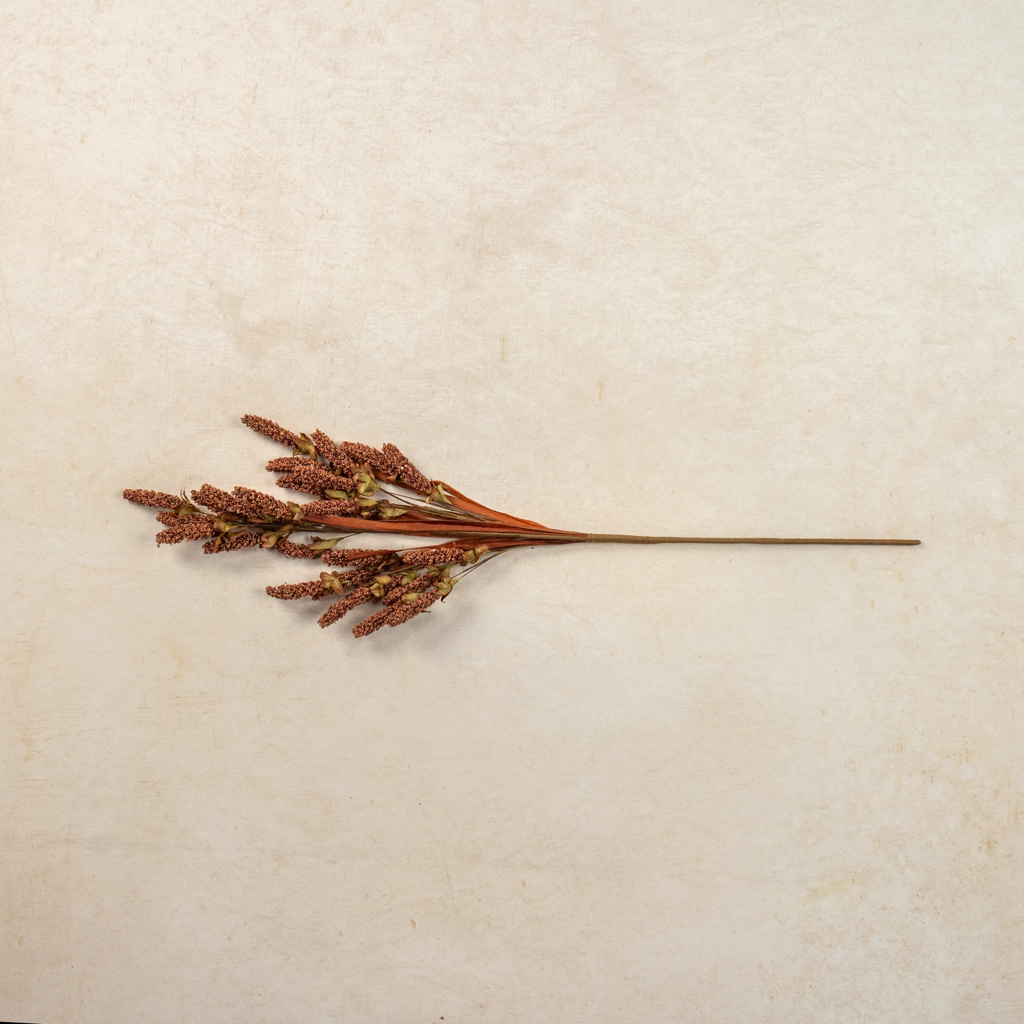 Rust Heather & Dried Grass Spray, 32", photo 4 of 4