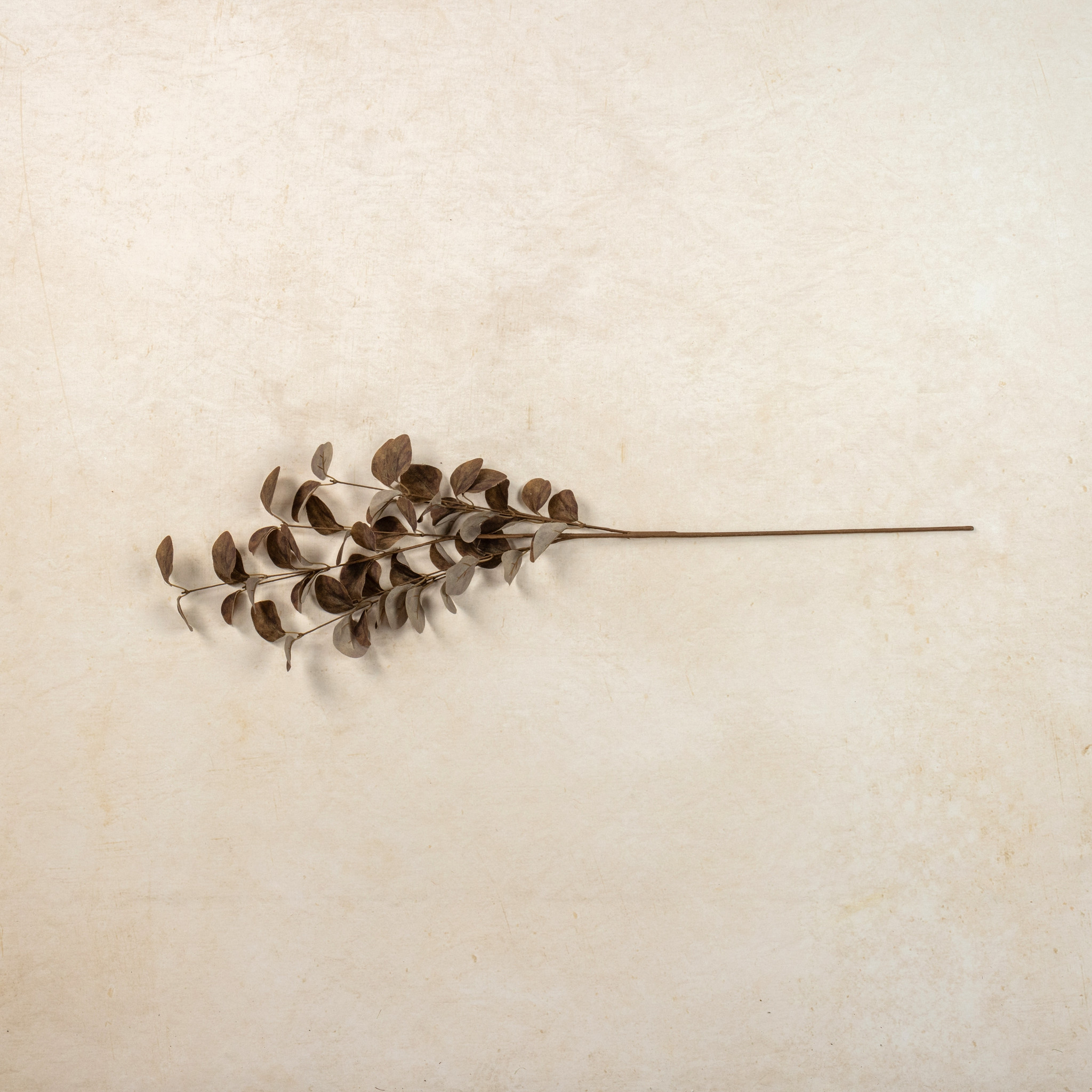 Brown Eucalyptus Leaf Spray, 34.5", photo 2 of 2