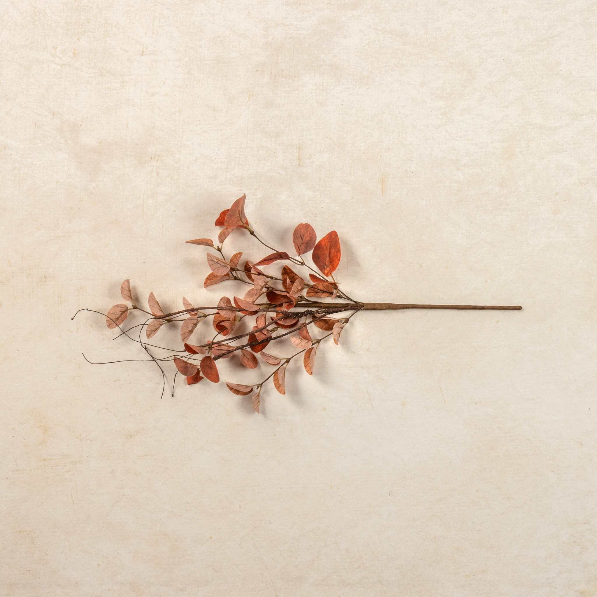 Orange Eucalyptus & Twig Pick, 19.5", photo 2 of 3