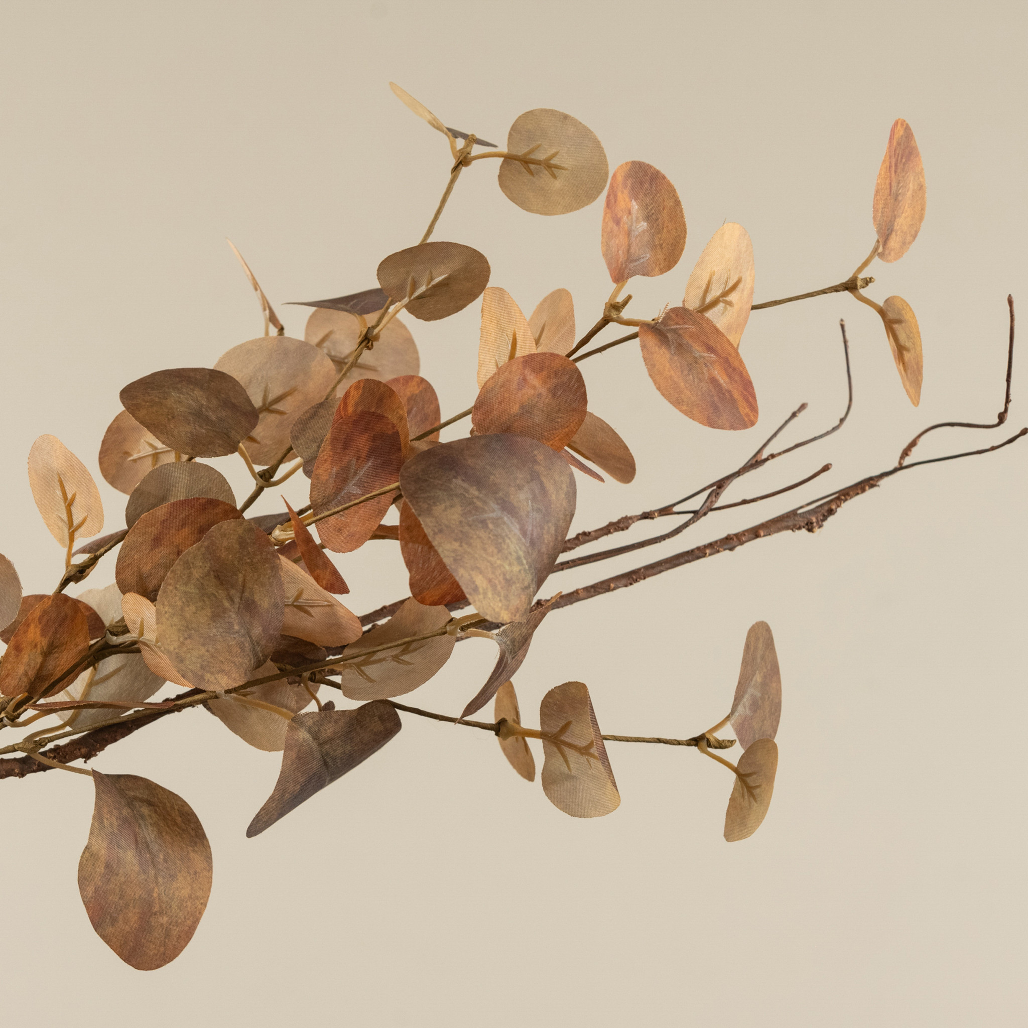 Orange Eucalyptus & Twig Pick, 19.5", photo 3 of 3