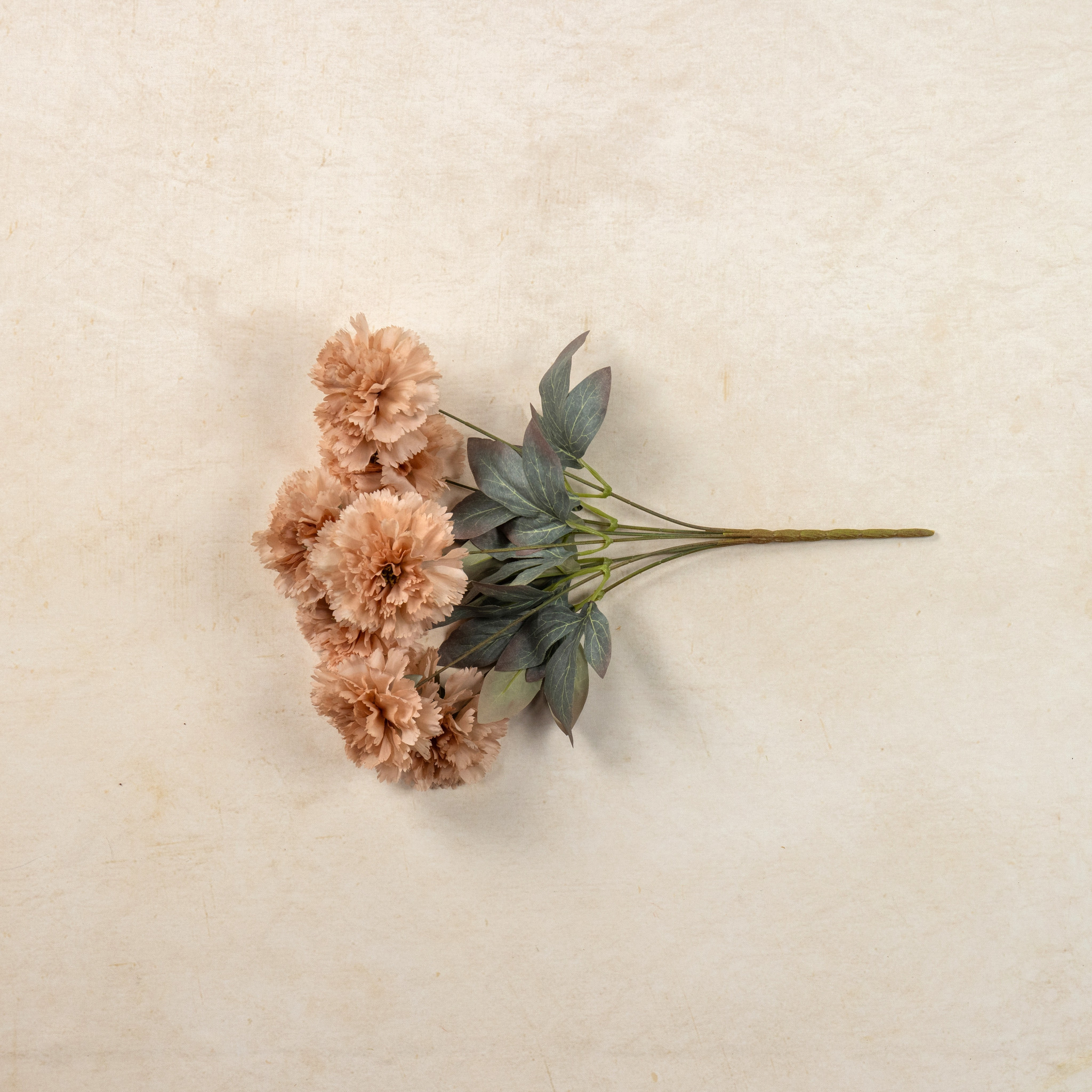 Beige Carnation Bush, 16.5", photo 3 of 4
