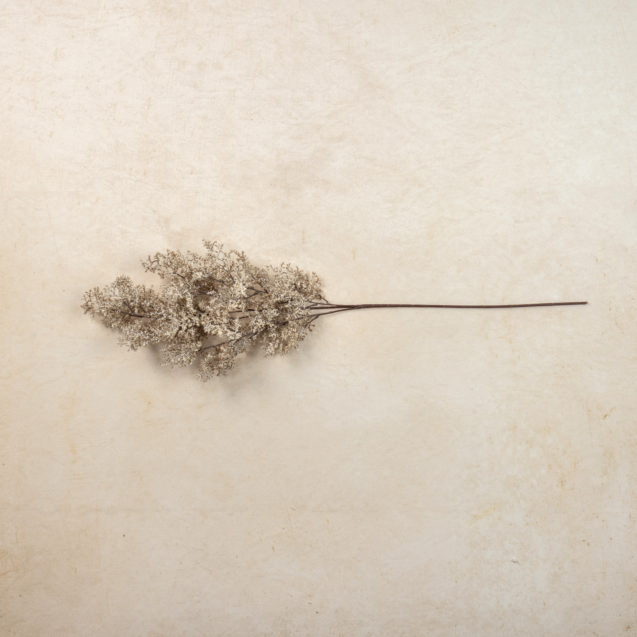 Cream Caspia Spray, 41", photo 3 of 3