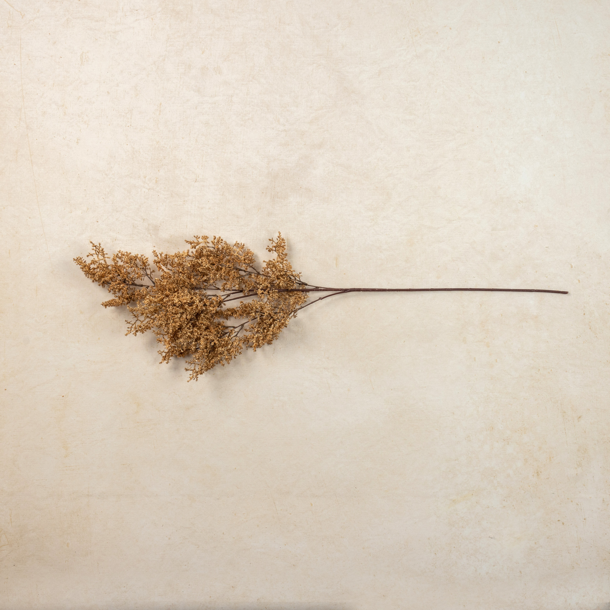 Beige Caspia Spray, 41", photo 3 of 3