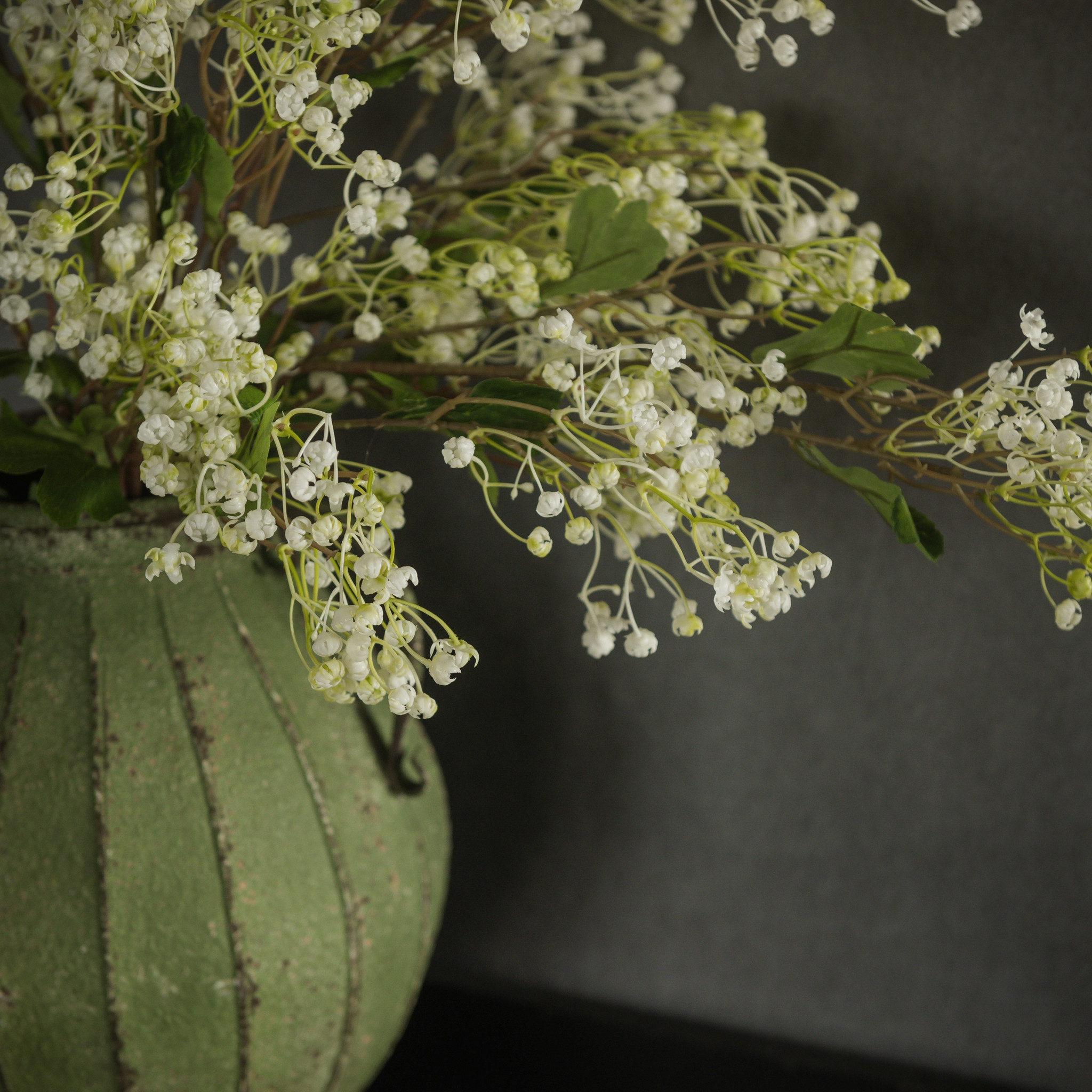 White Winter Daphne Spray, 34", photo 2 of 4