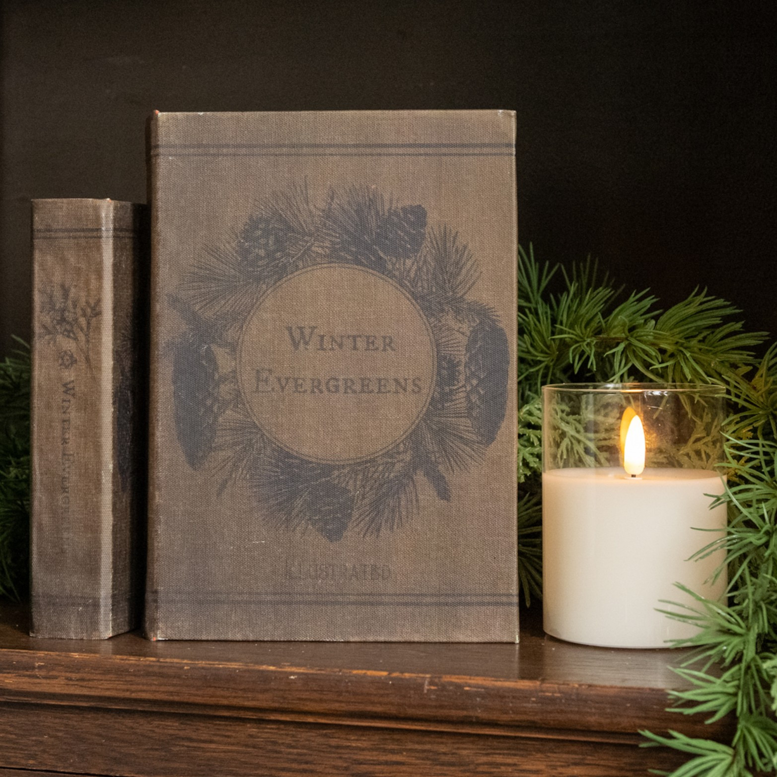 Winter Evergreens Journal, 8.5"