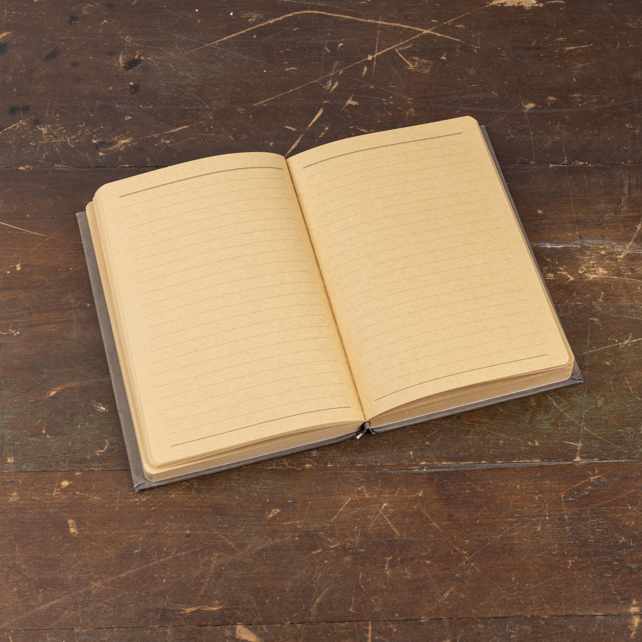 Honeybees Volume One Journal, 8.5", photo 3 of 4