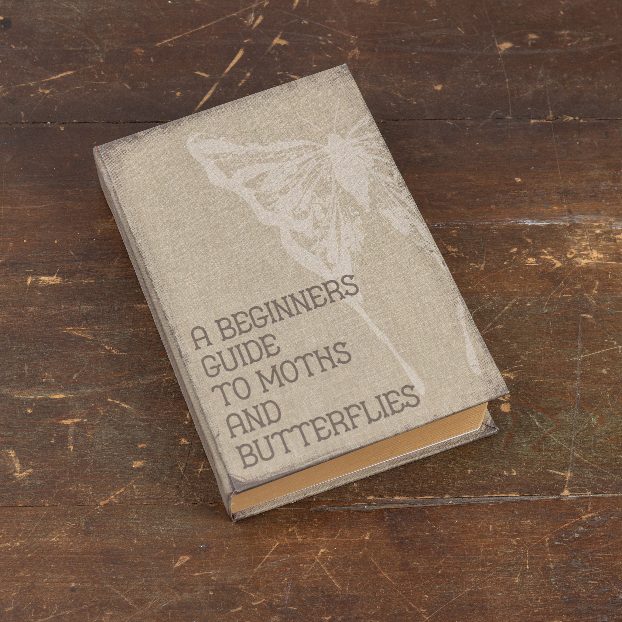 A Beginner's Guide to Moths and Butterflies Journal, 8.5", photo 2 of 4