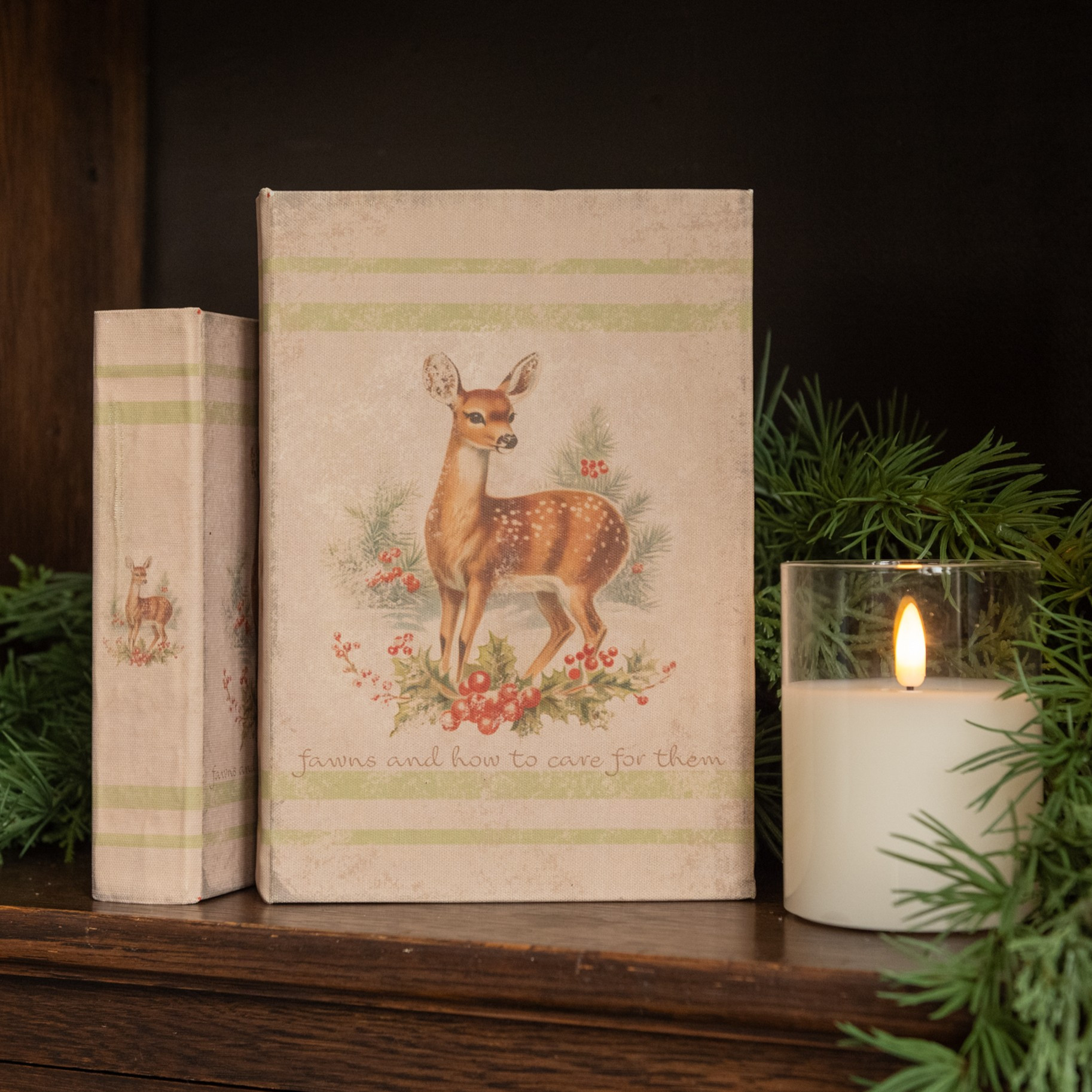 Fawns and How to Care for Them Journal, 8.5"