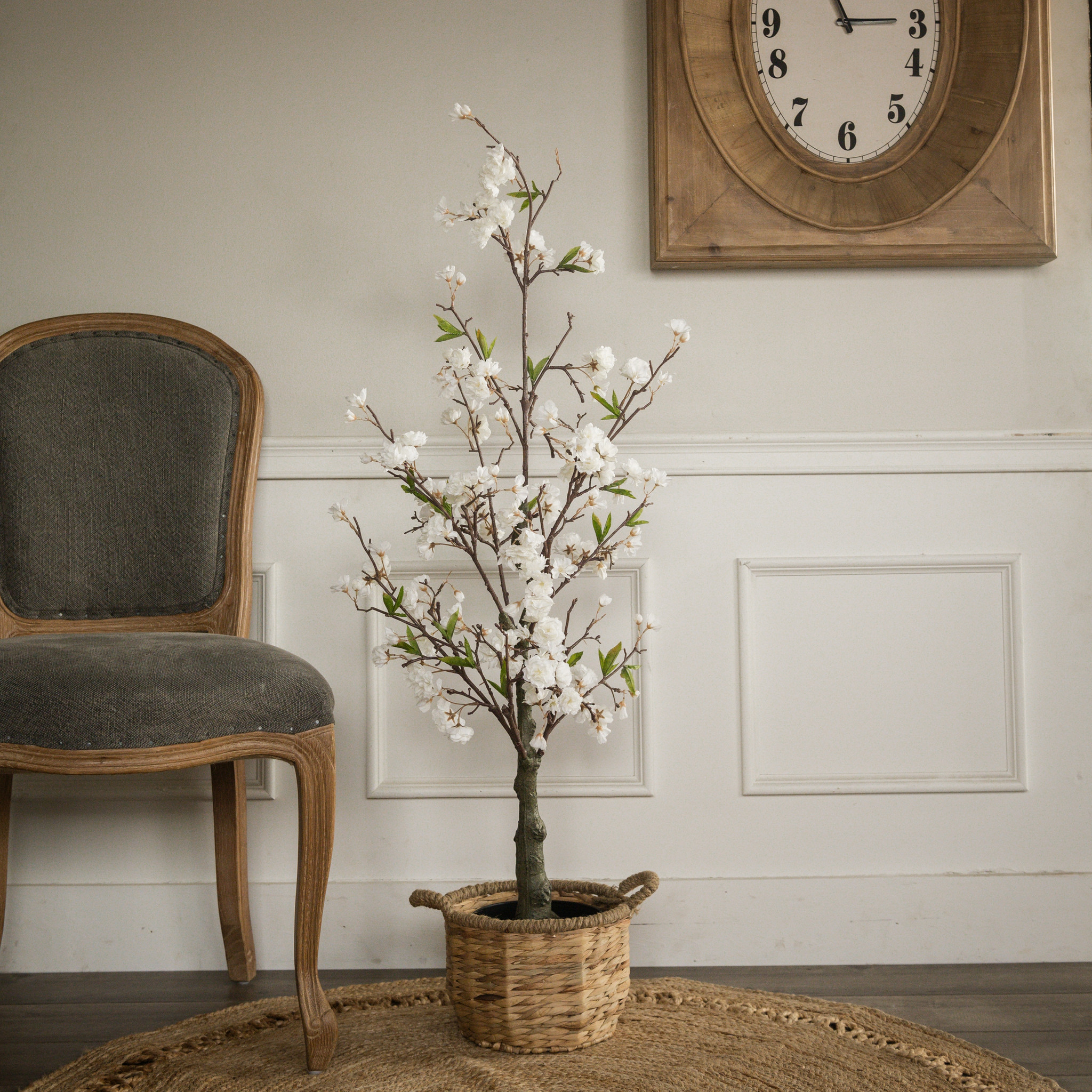 Cherry Blossom Tree, 4 ft