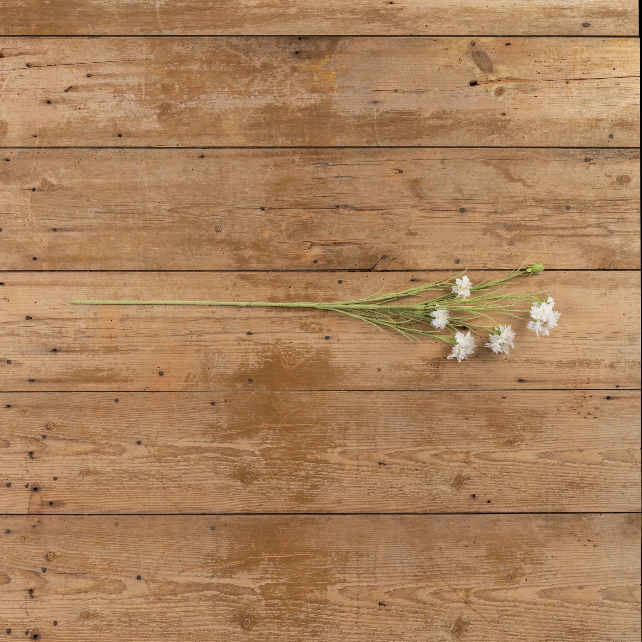 White Daisy Spray, 35.5", photo 3 of 4