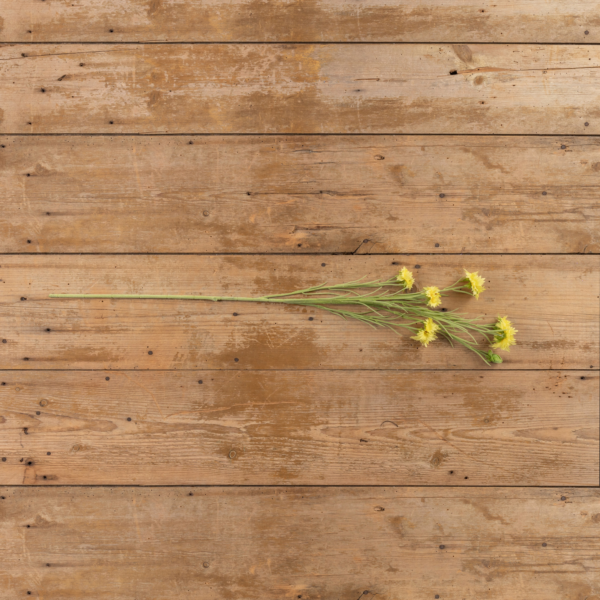 Yellow Daisy Spray, 35.5", photo 3 of 4