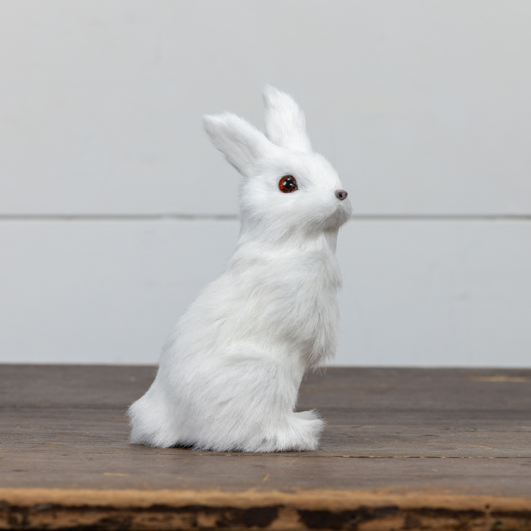 White Bunny, photo 2 of 3