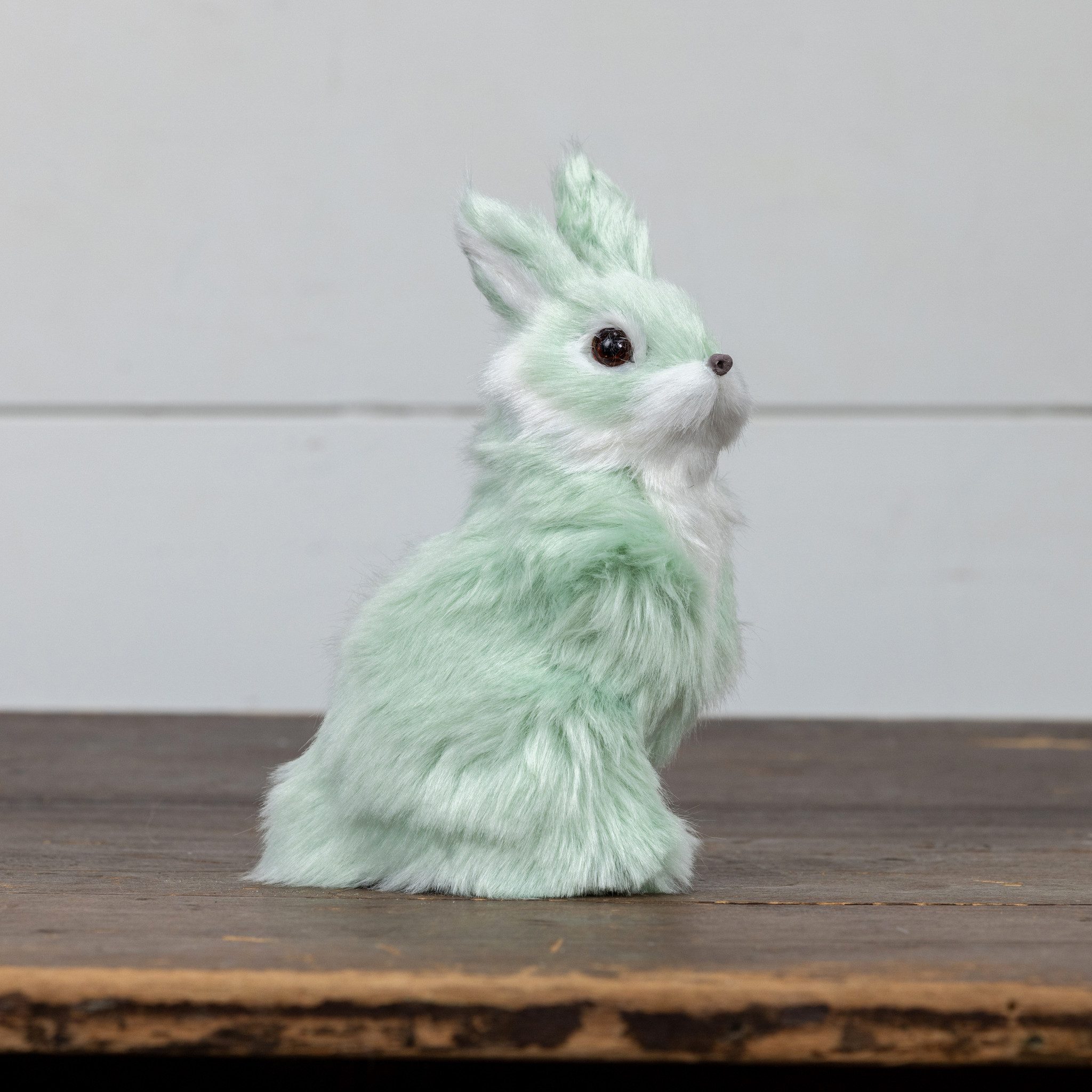 Pastel Blue Bunny, photo 2 of 3