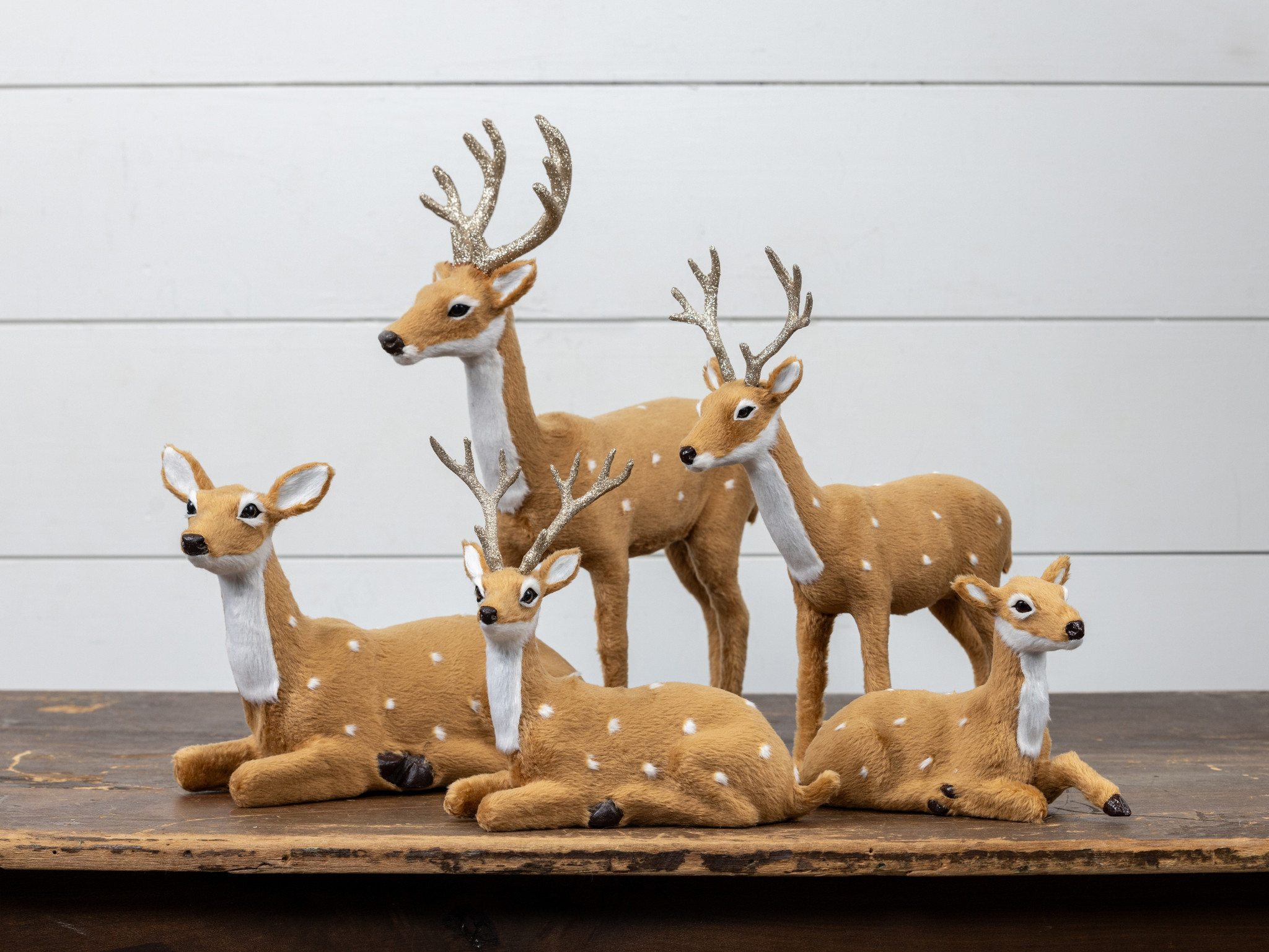 Resting Fur Deer, photo 3 of 3